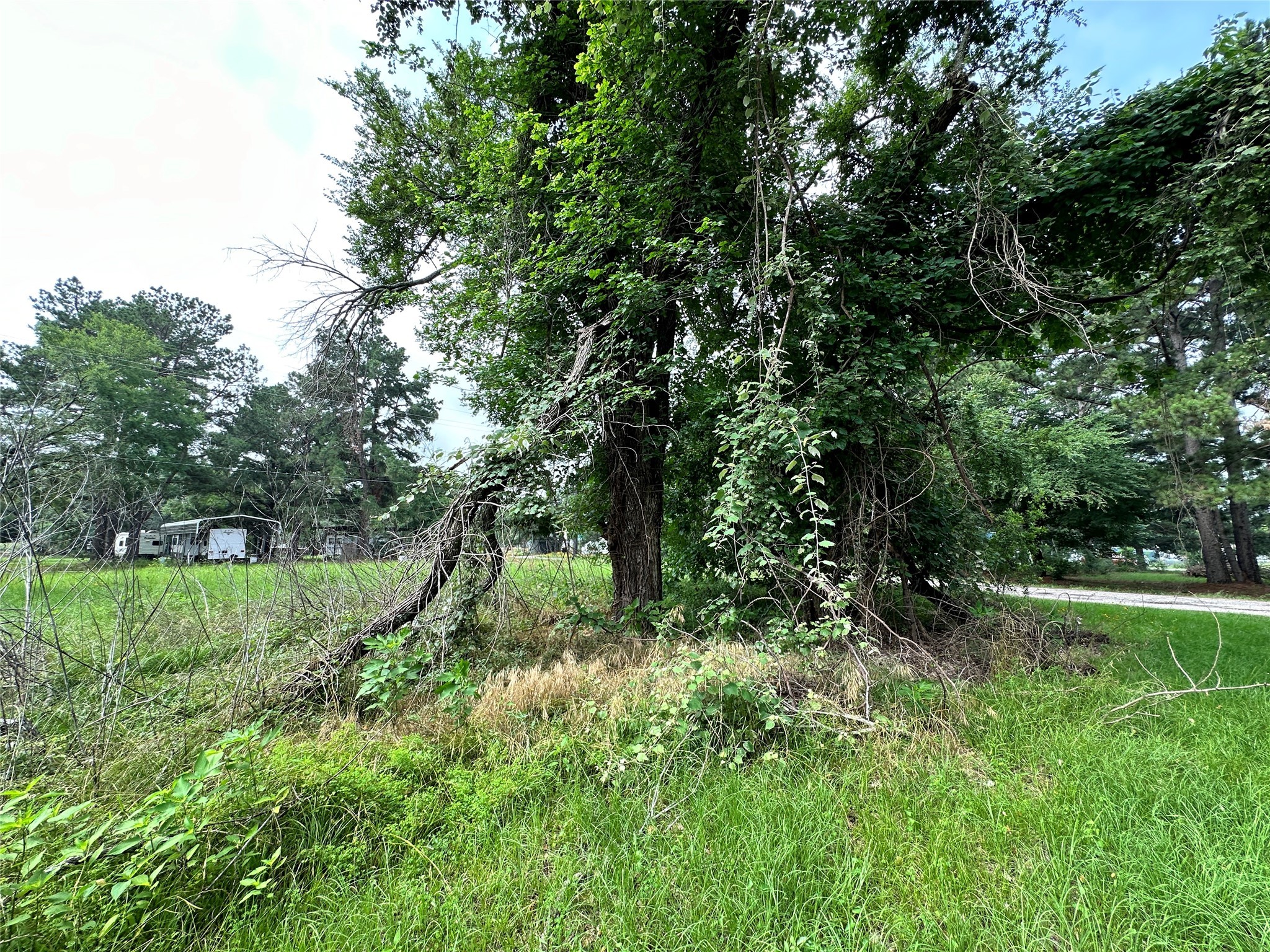 Lot 29 Ashley Avenue