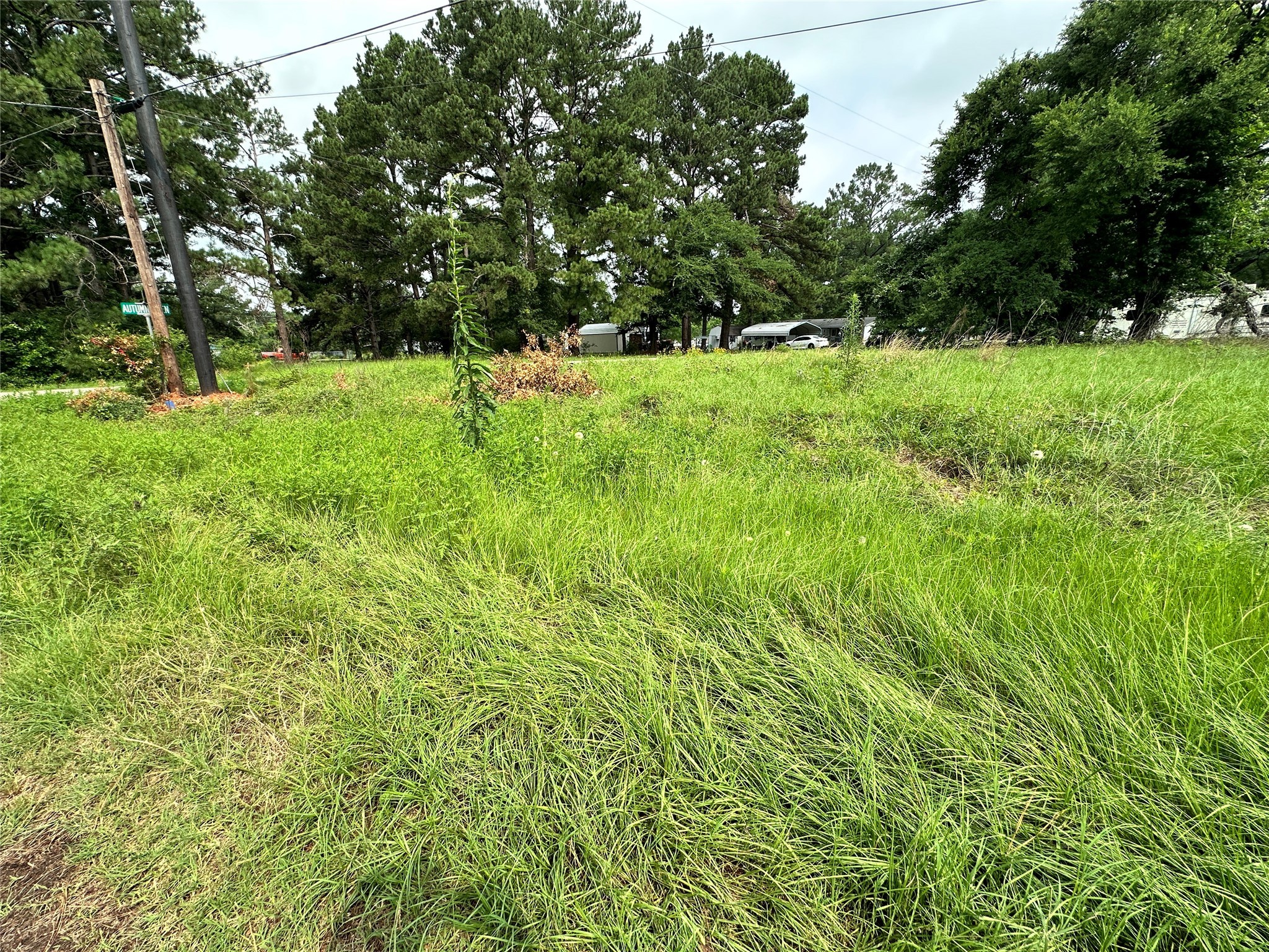 Lot 29 Ashley Avenue
