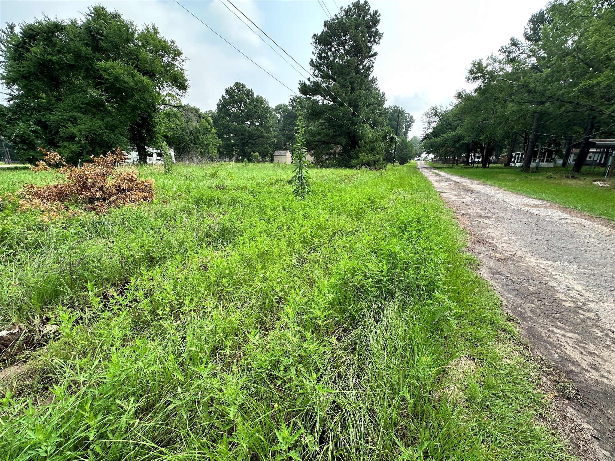 Lot 29 Ashley Avenue