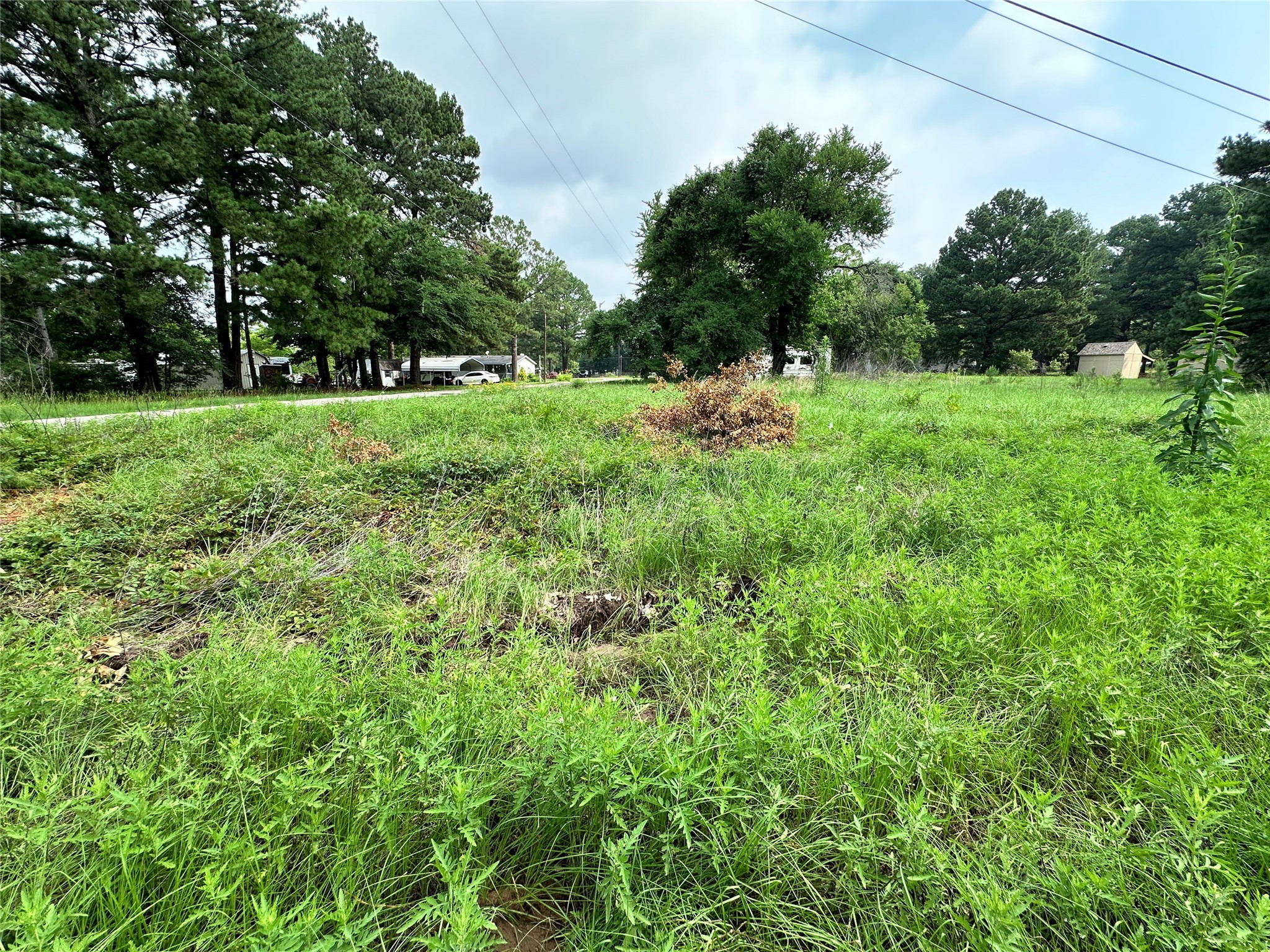Lot 29 Ashley Avenue