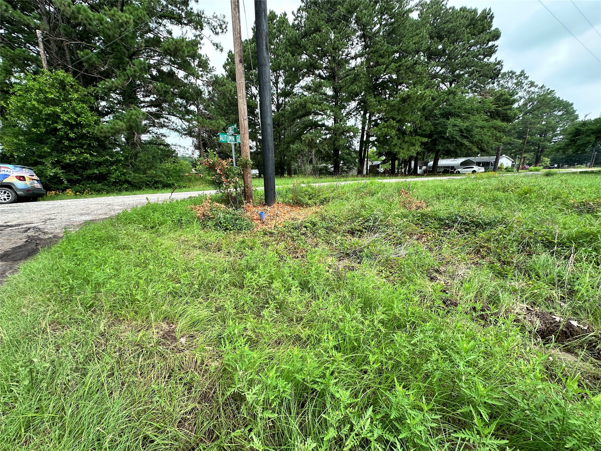 Lot 29 Ashley Avenue