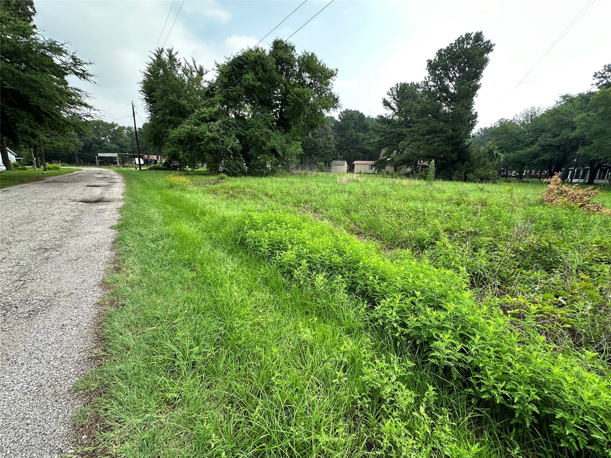 Lot 29 Ashley Avenue