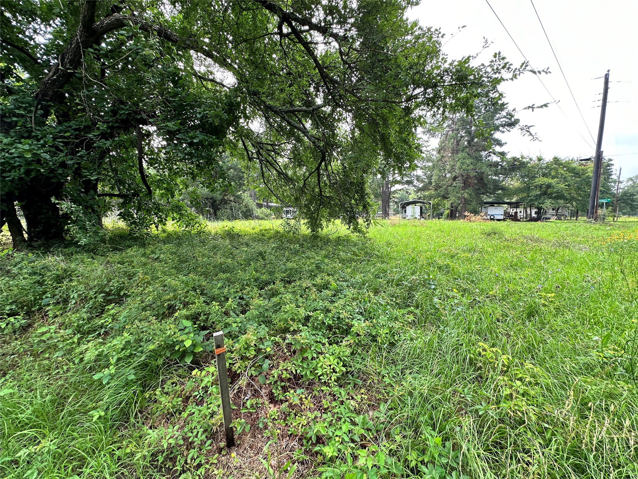 Lot 29 Ashley Avenue