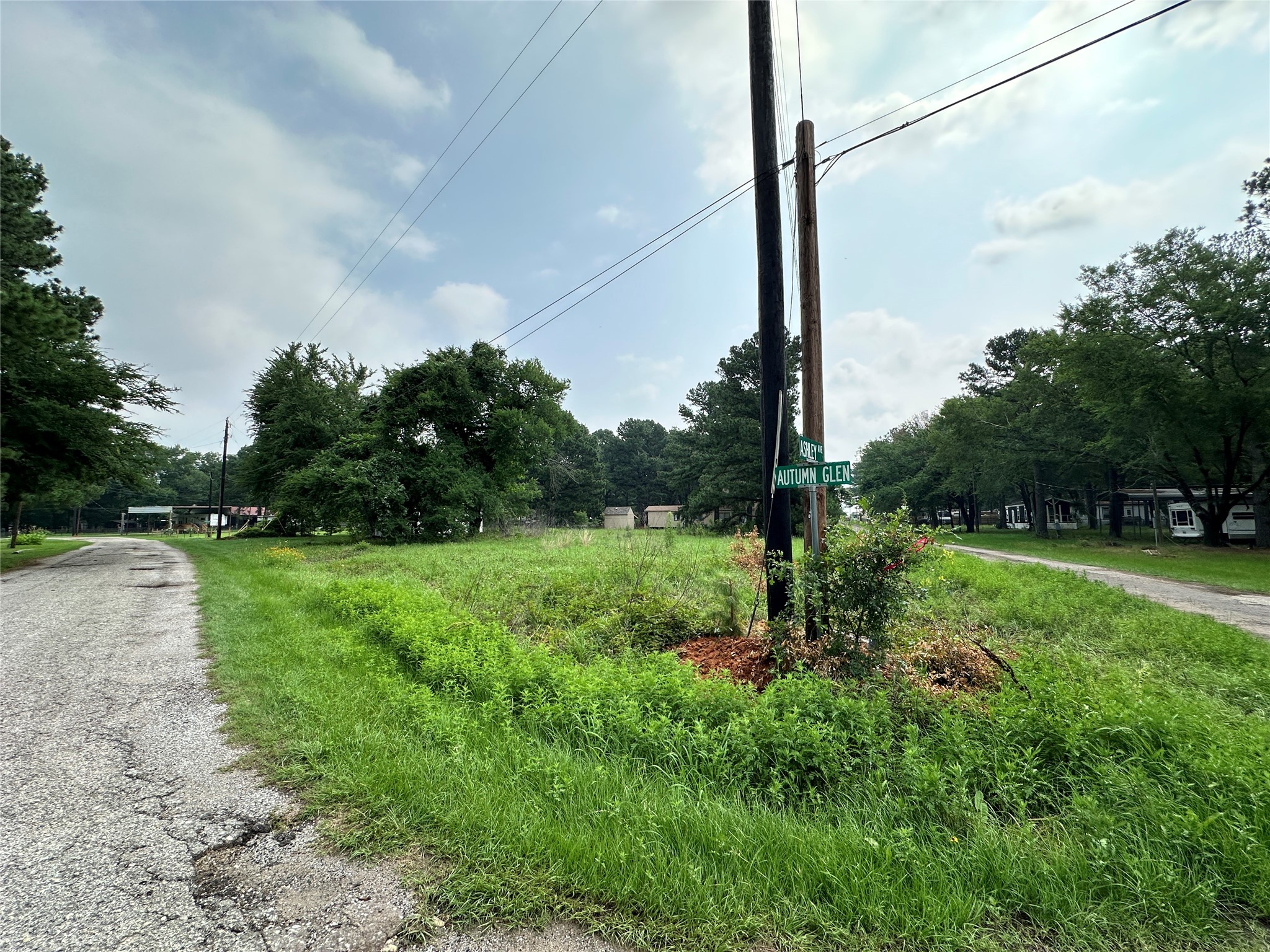 Lot 29 Ashley Avenue