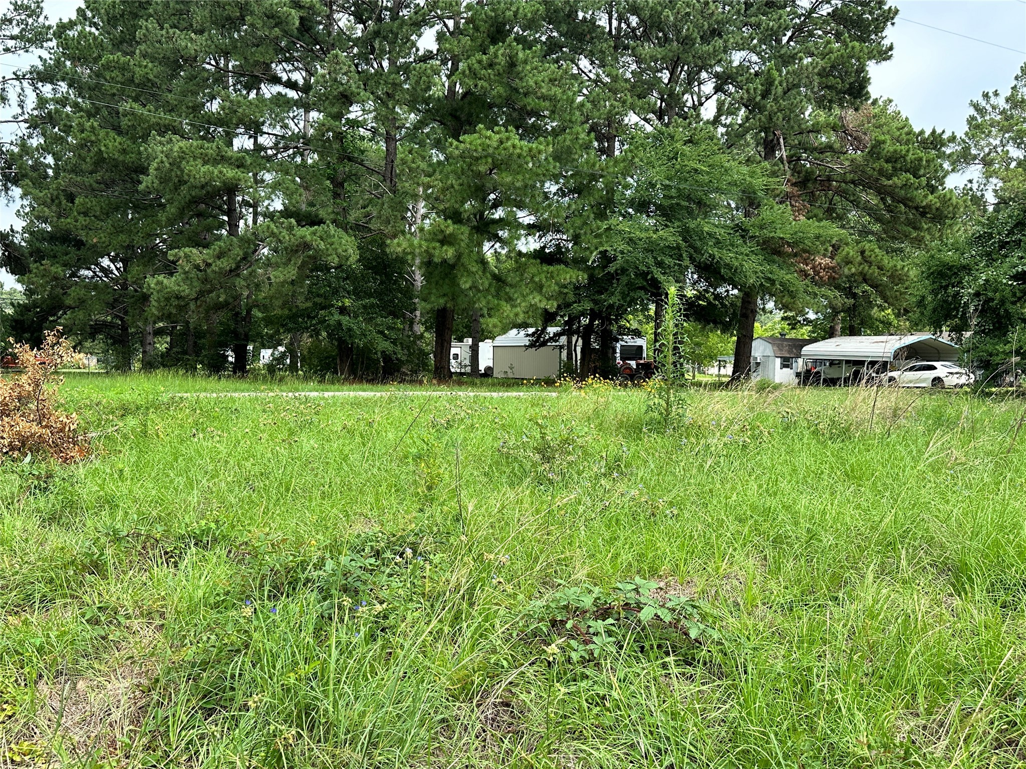 Lot 28 Ashley Avenue