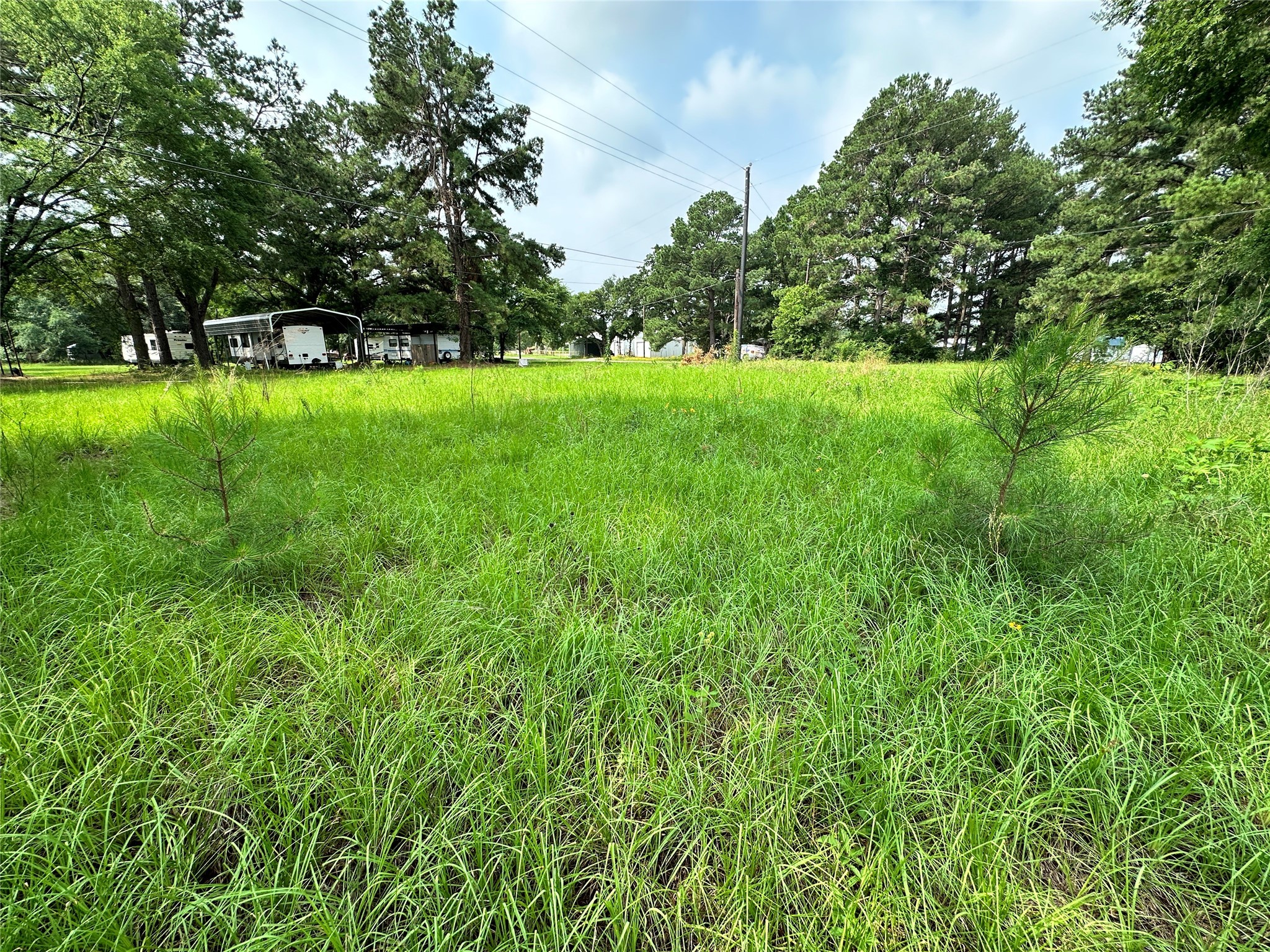 Lot 28 Ashley Avenue