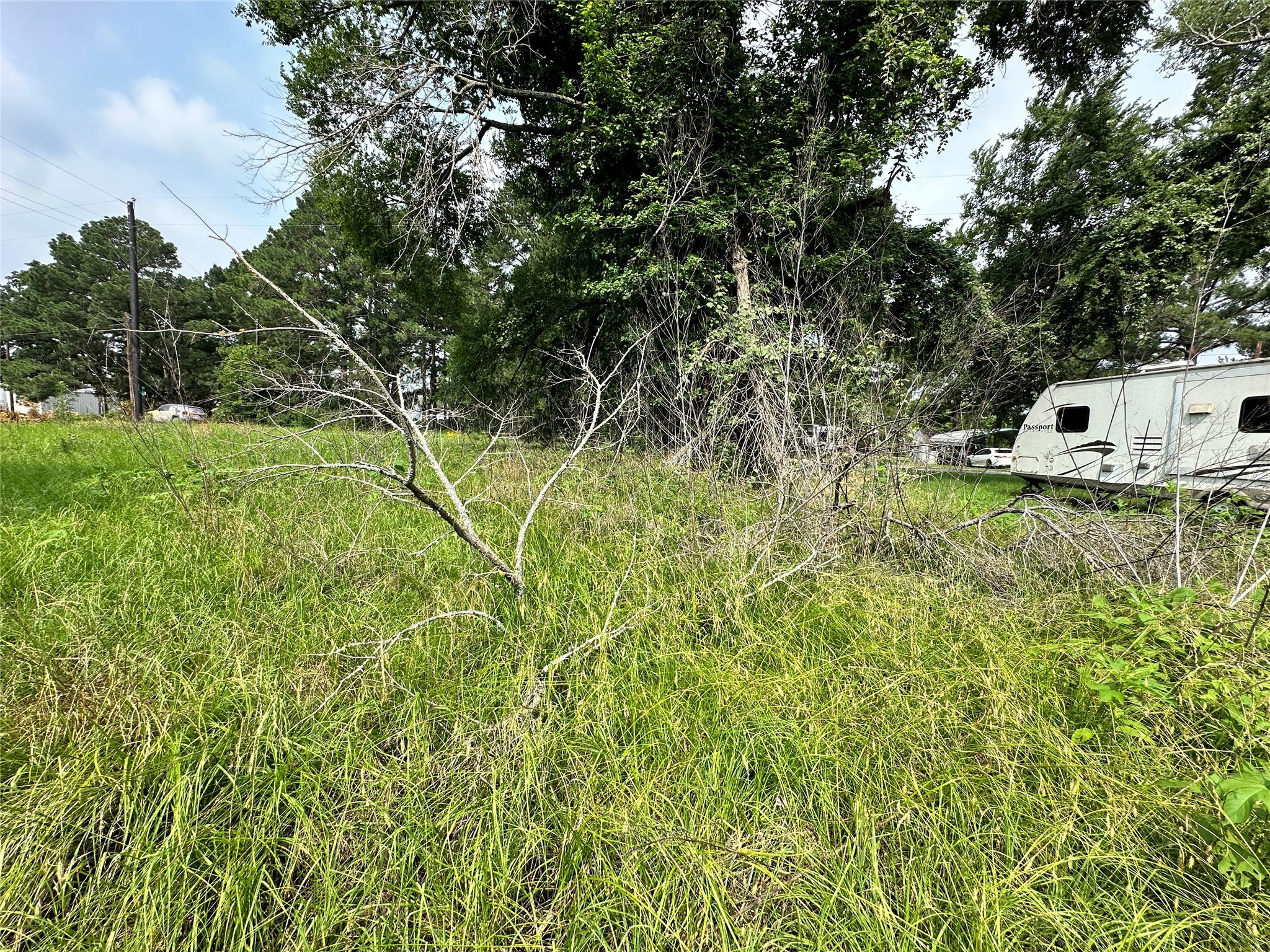 Lot 28 Ashley Avenue