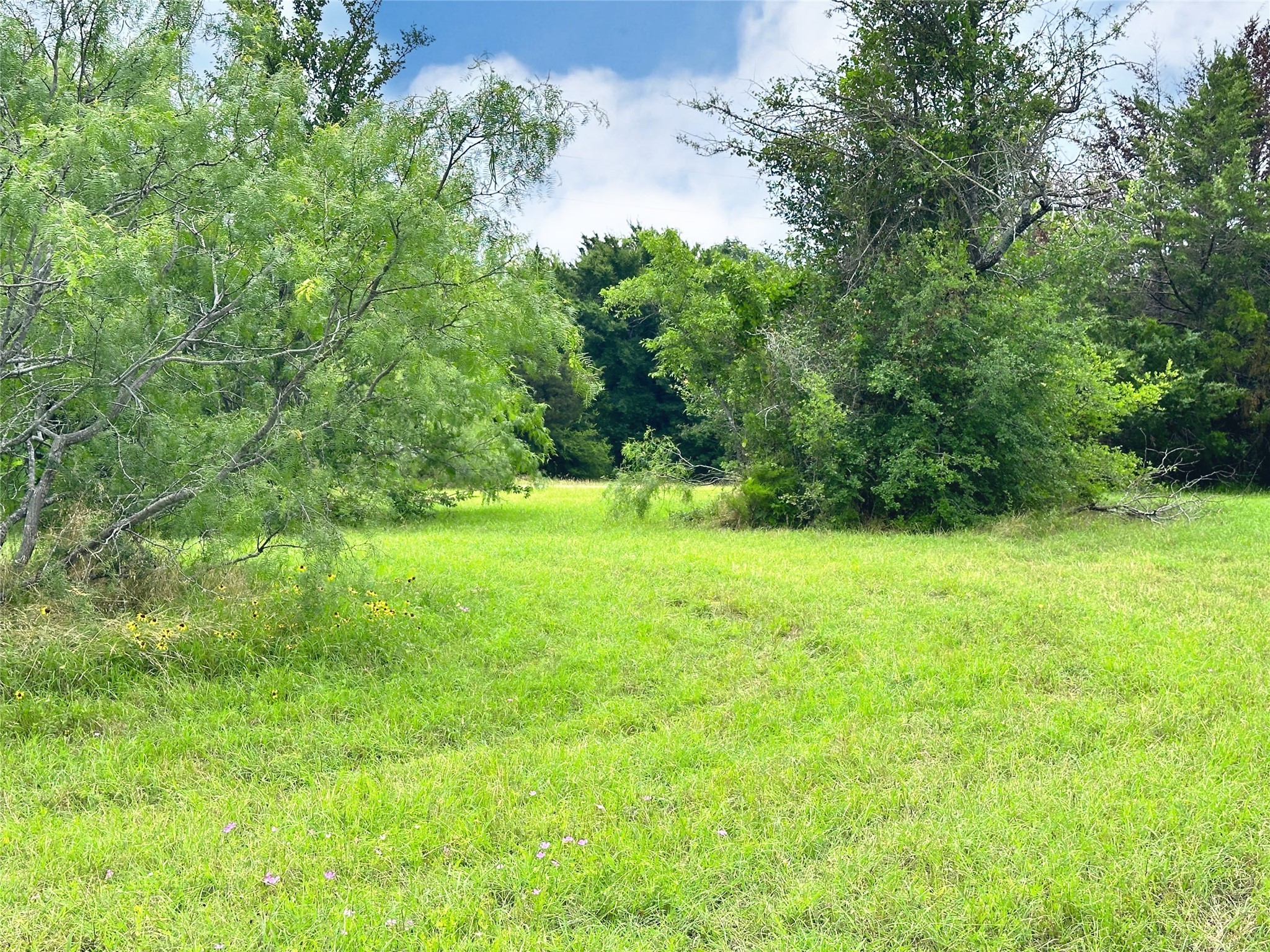Lot 97 Fiddler Lane