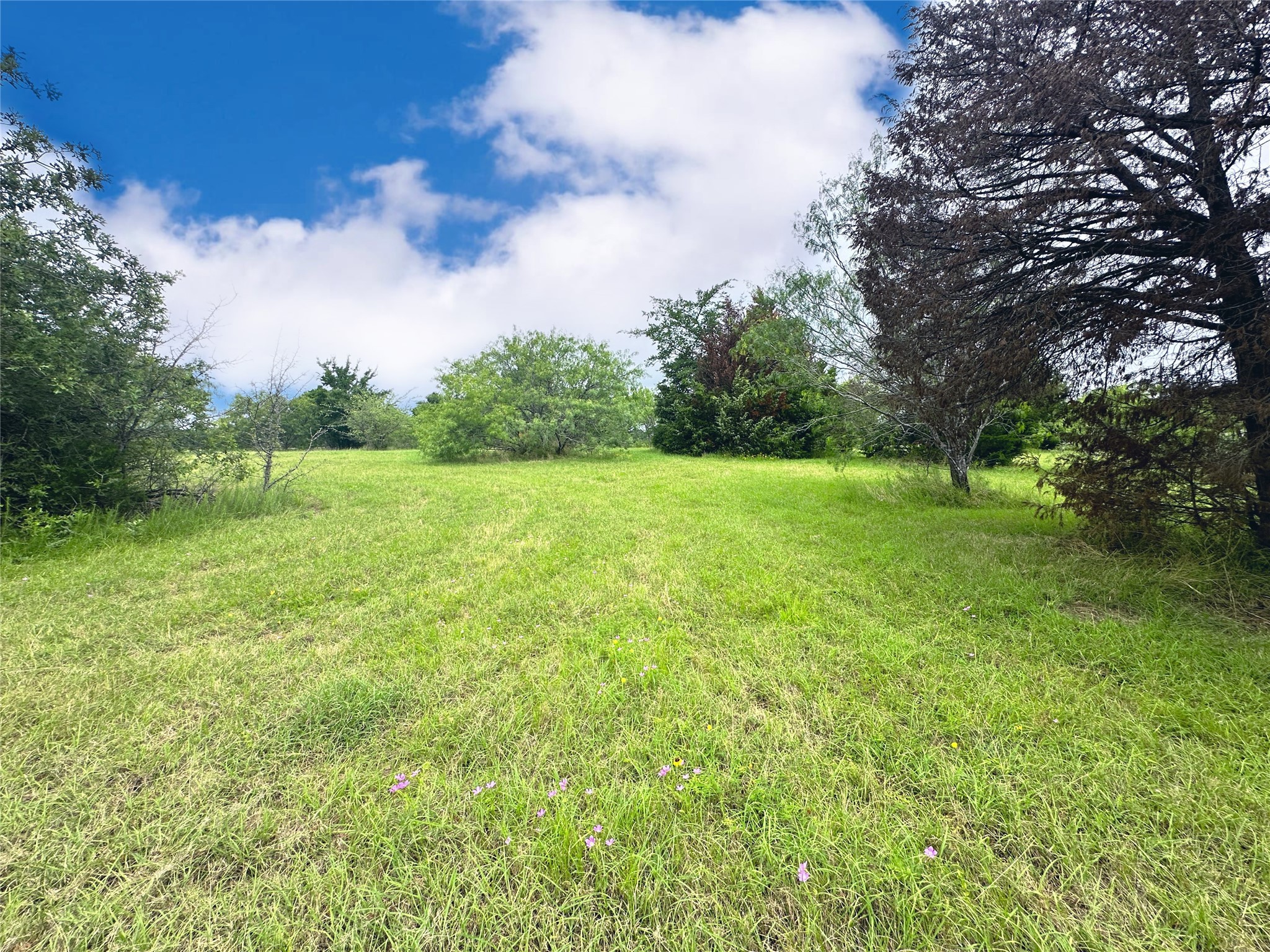 Lot 97 Fiddler Lane