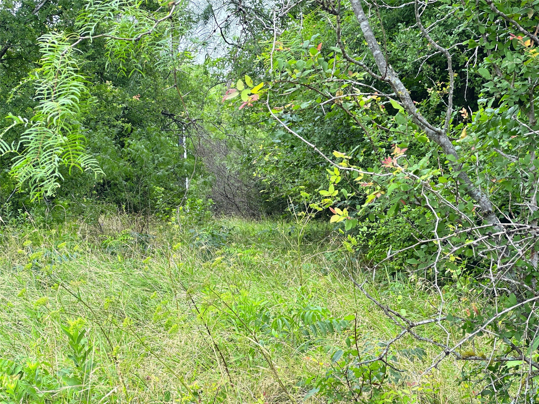 Lot 51 Horizon Ridge