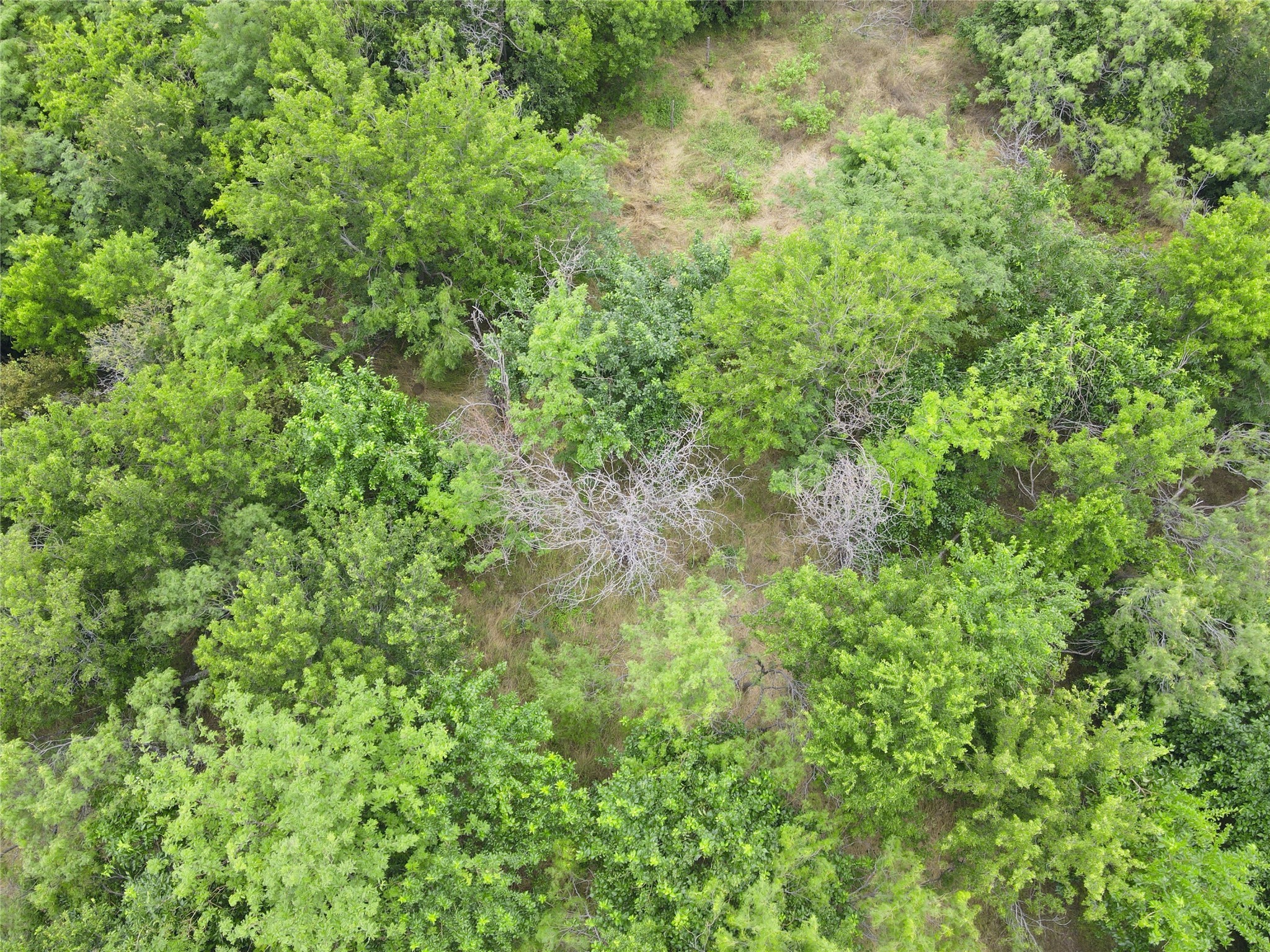 Lot 51 Horizon Ridge