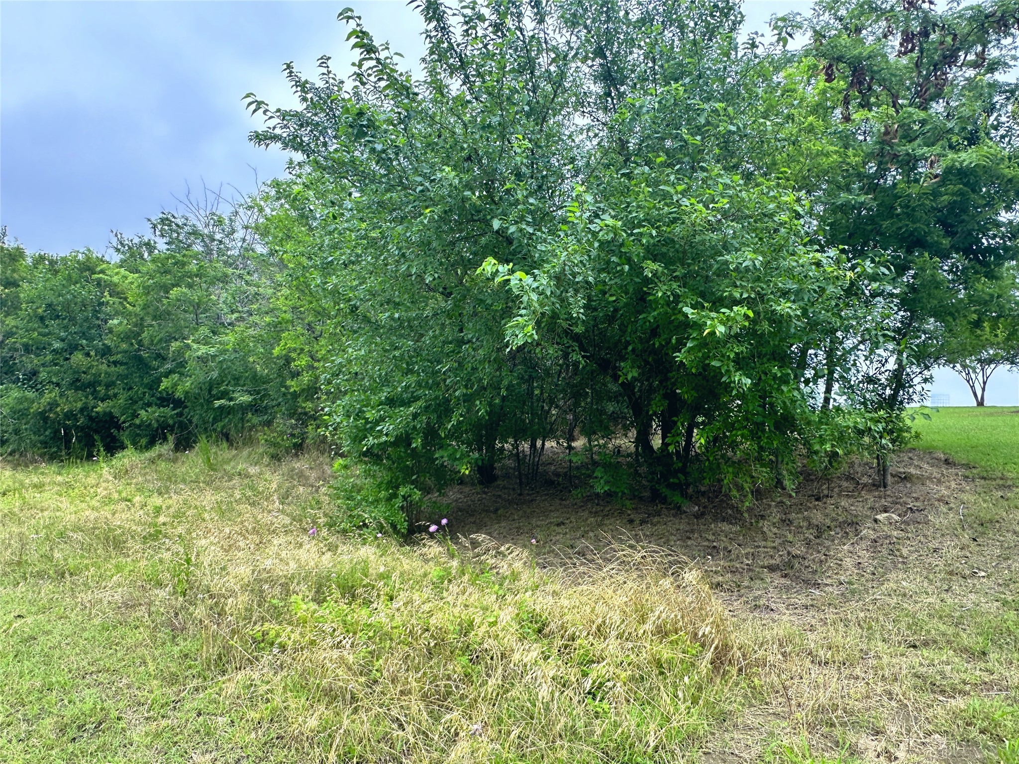 Lot 51 Horizon Ridge