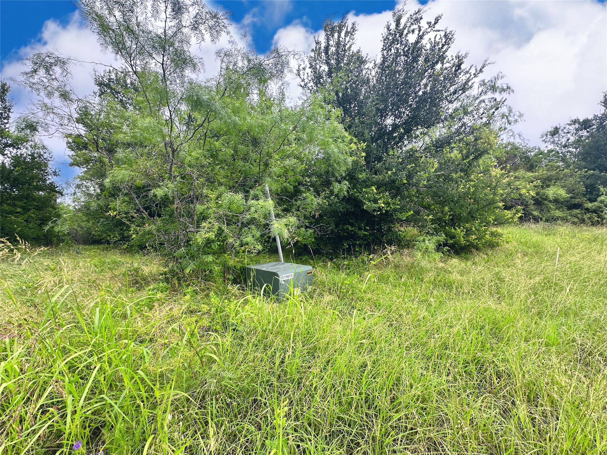 Lot 51 Horizon Ridge