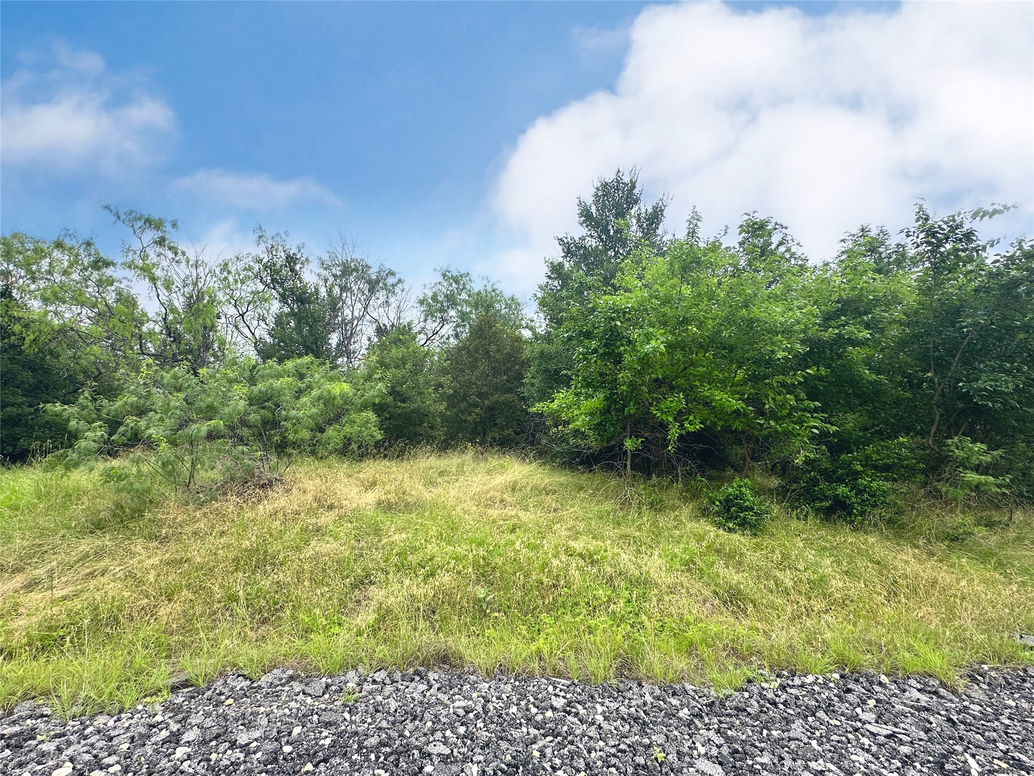 Lot 51 Horizon Ridge