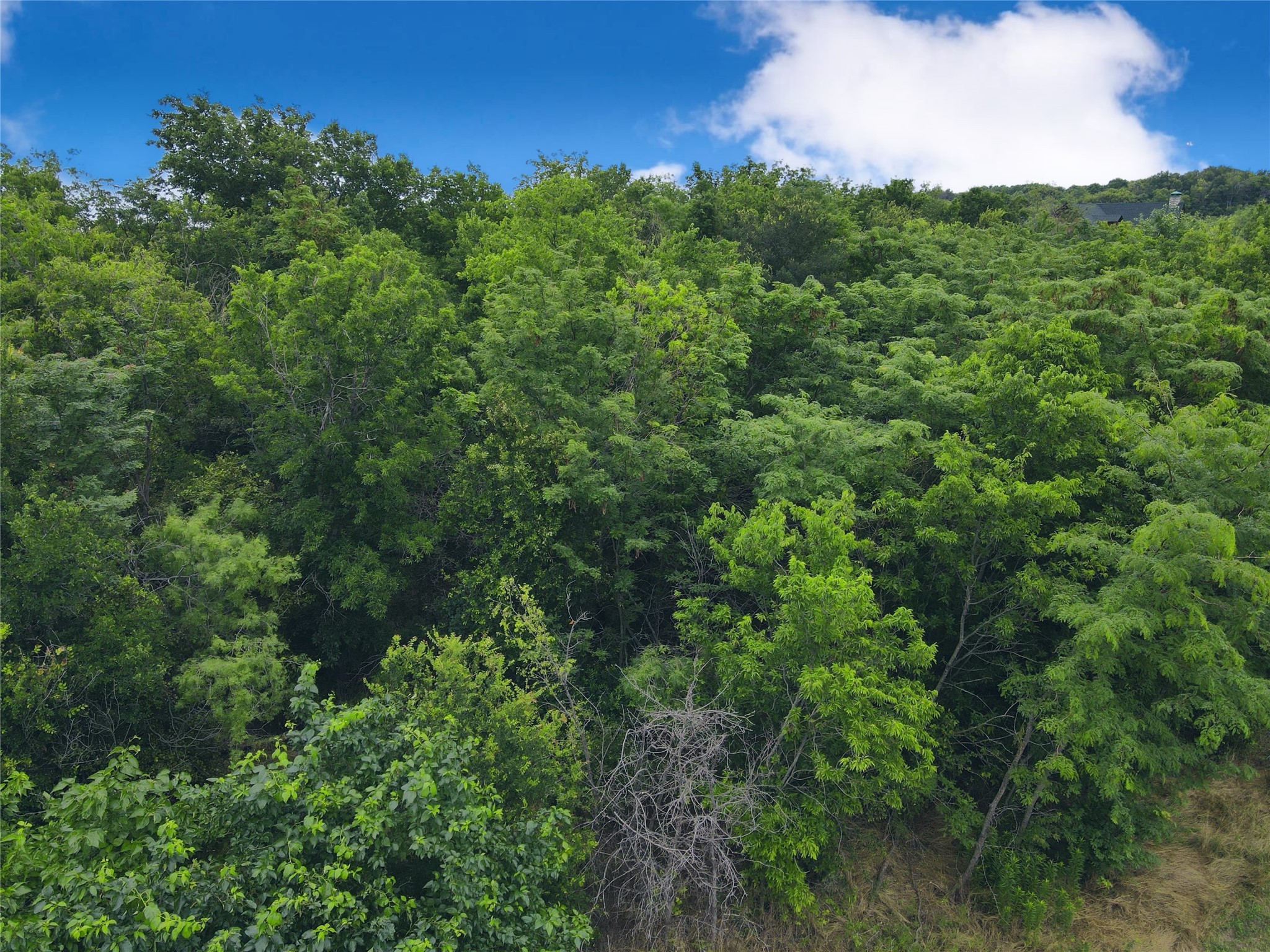 Lot 51 Horizon Ridge