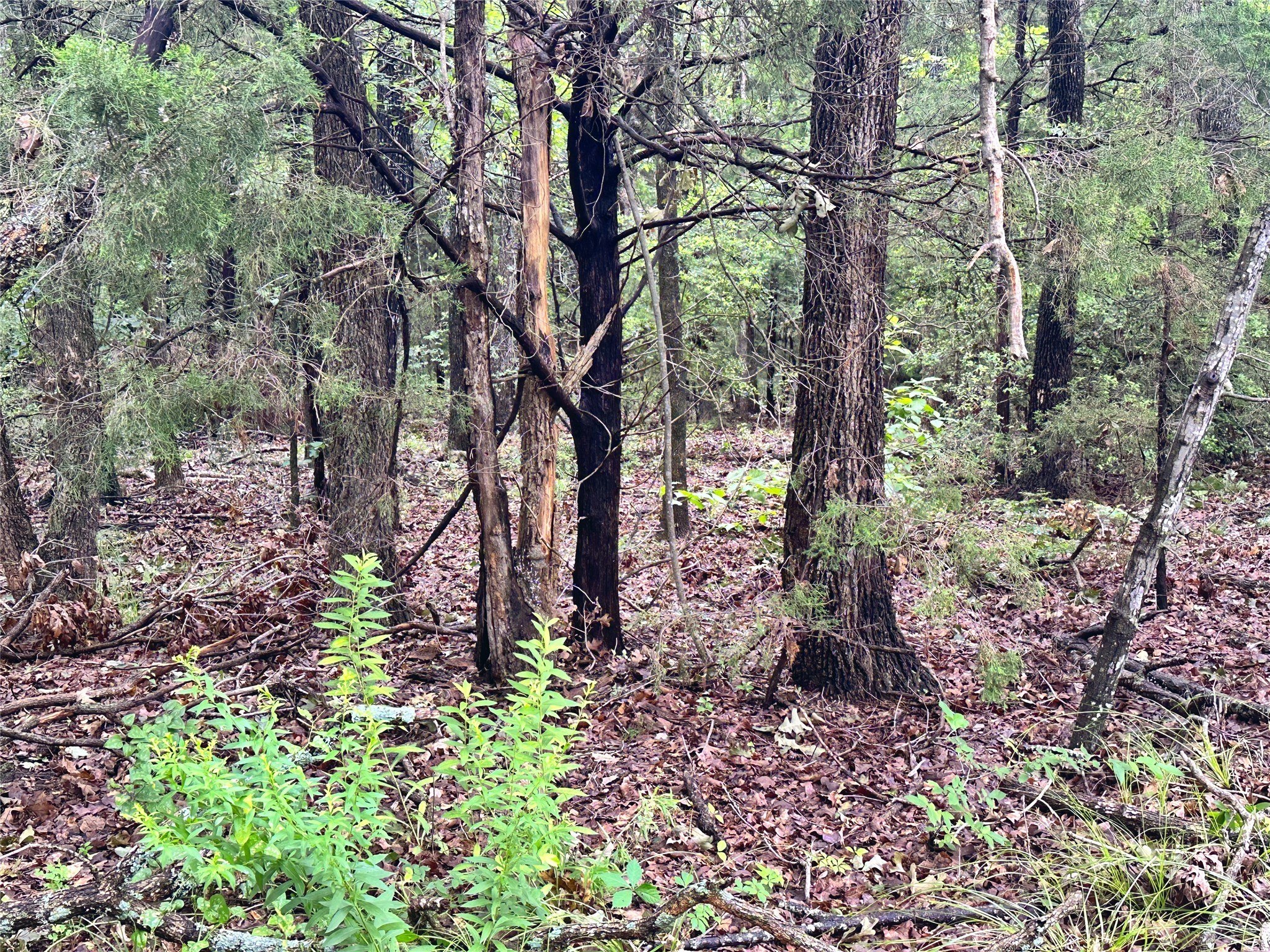 Lot 105-R Waters Edge Drive