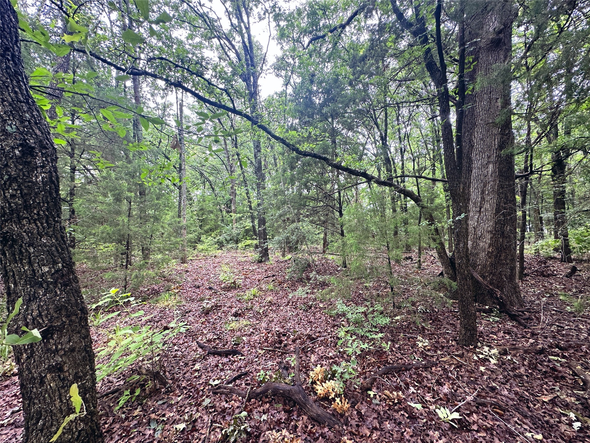 Lot 105-R Waters Edge Drive