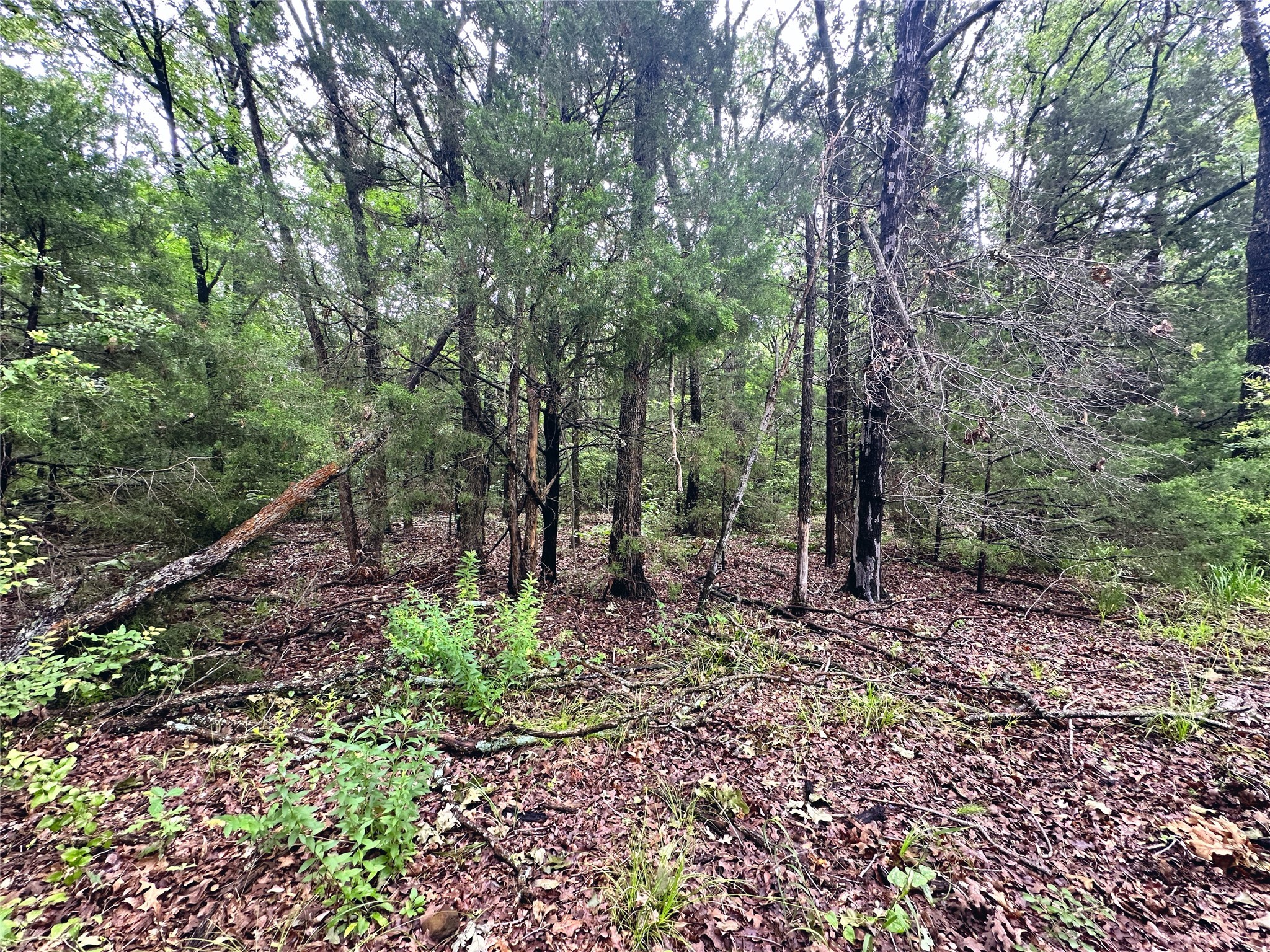 Lot 105-R Waters Edge Drive