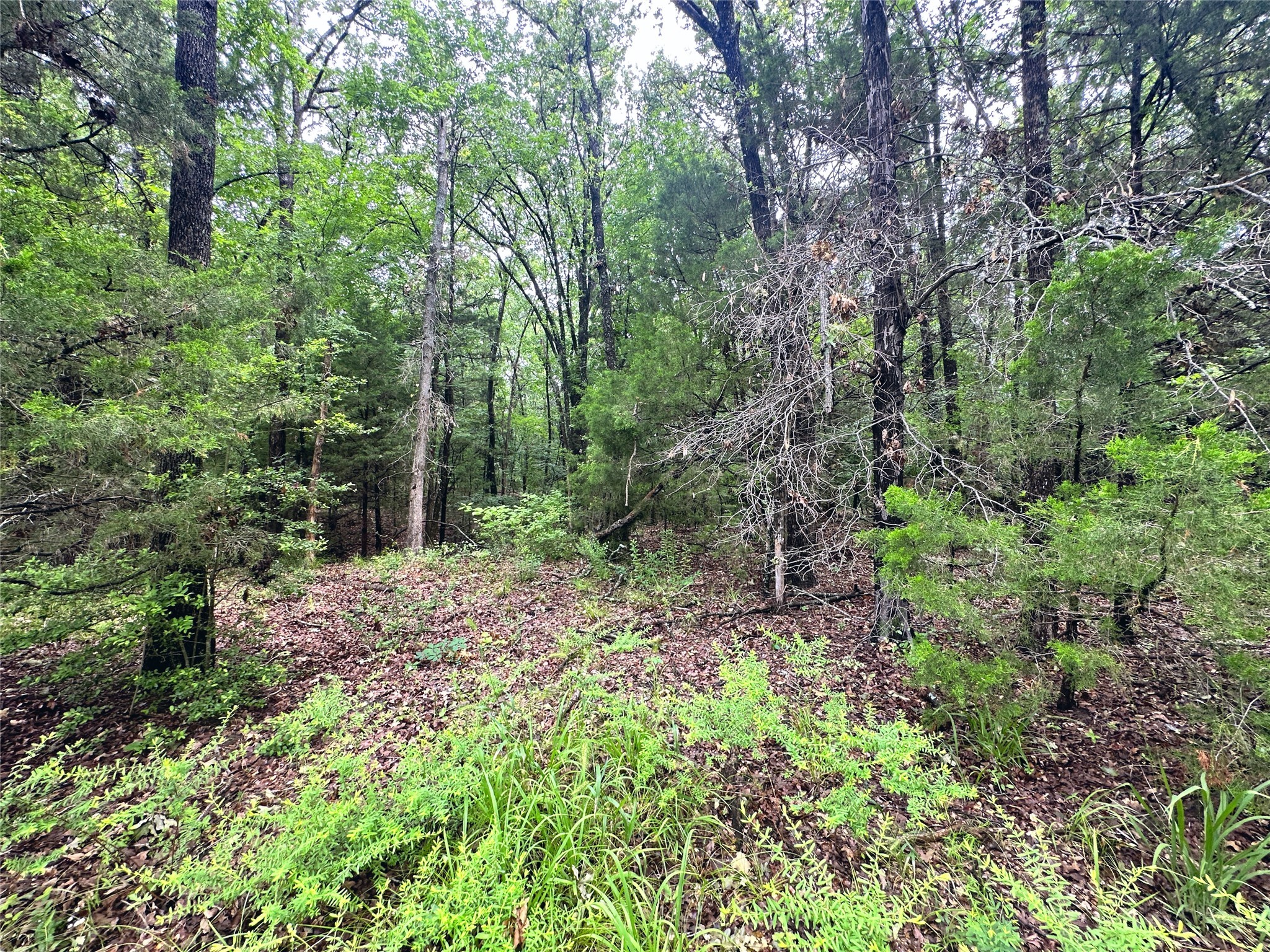 Lot 105-R Waters Edge Drive