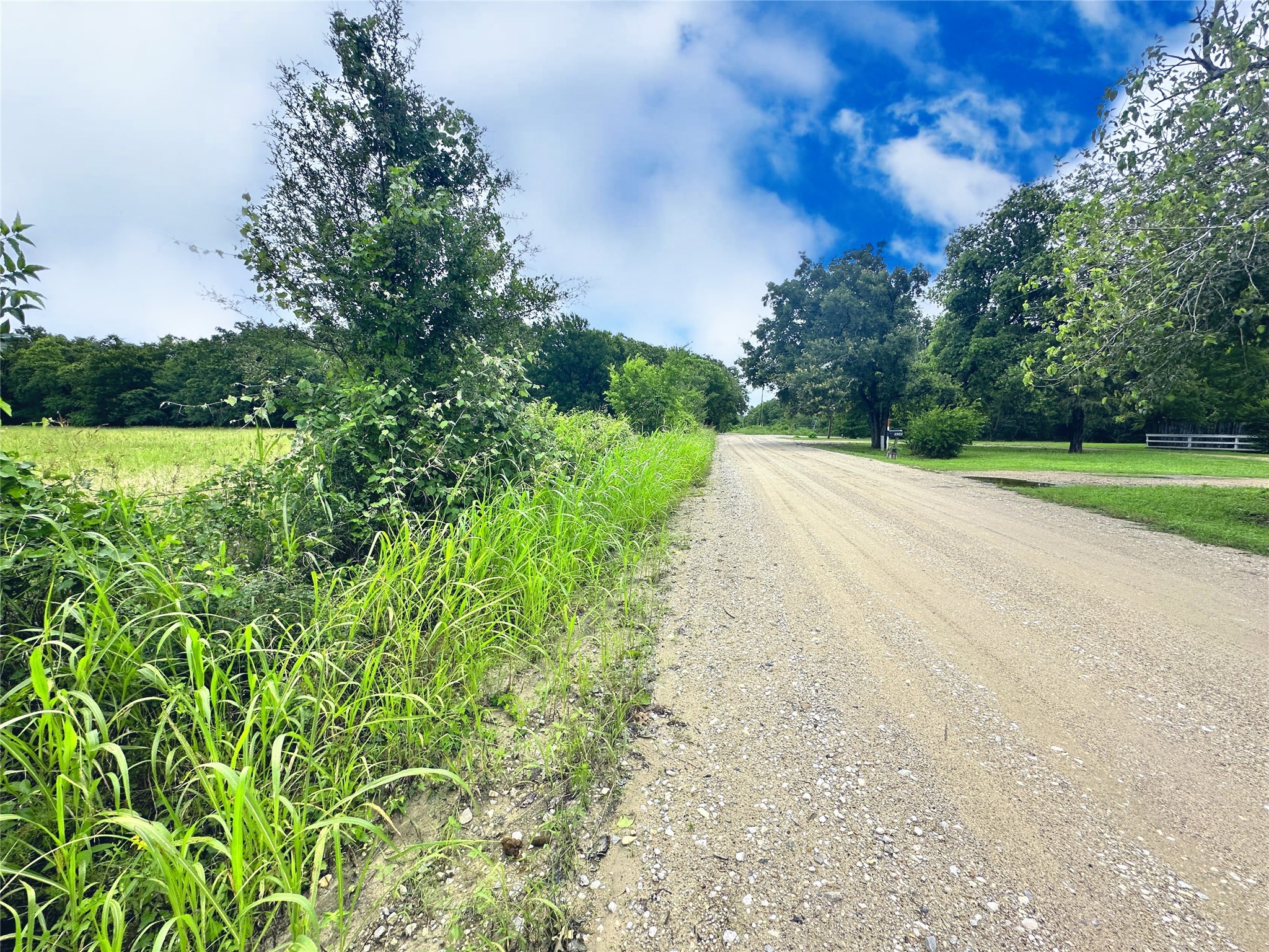 TBD 26.381 Acres SE County Road 4250