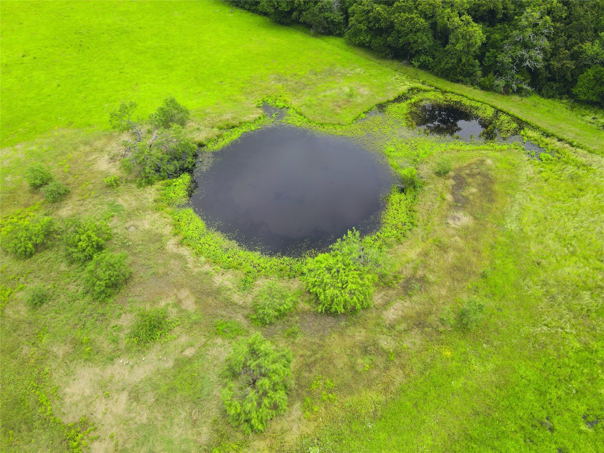 TBD 26.381 Acres SE County Road 4250
