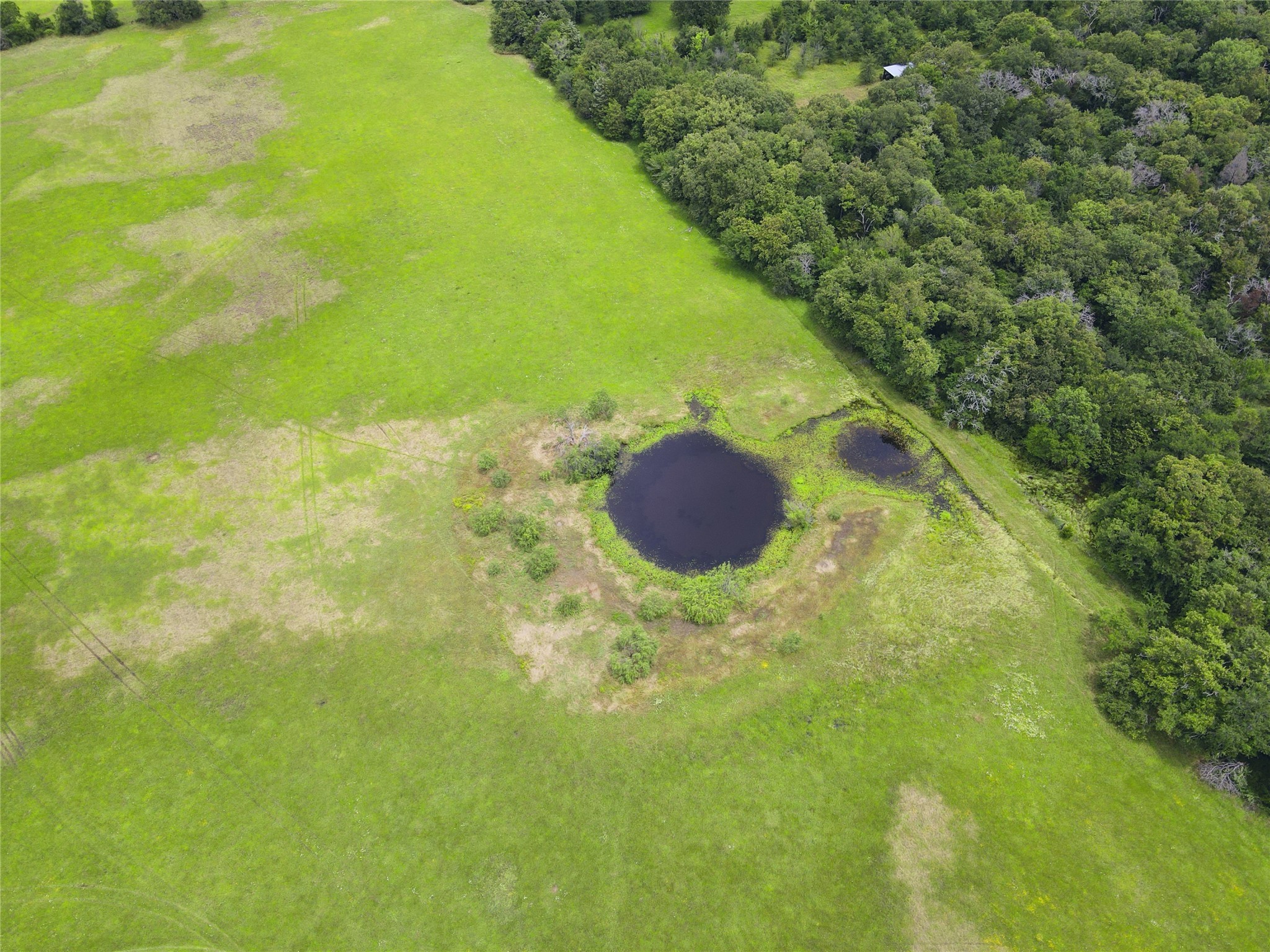 TBD 26.381 Acres SE County Road 4250