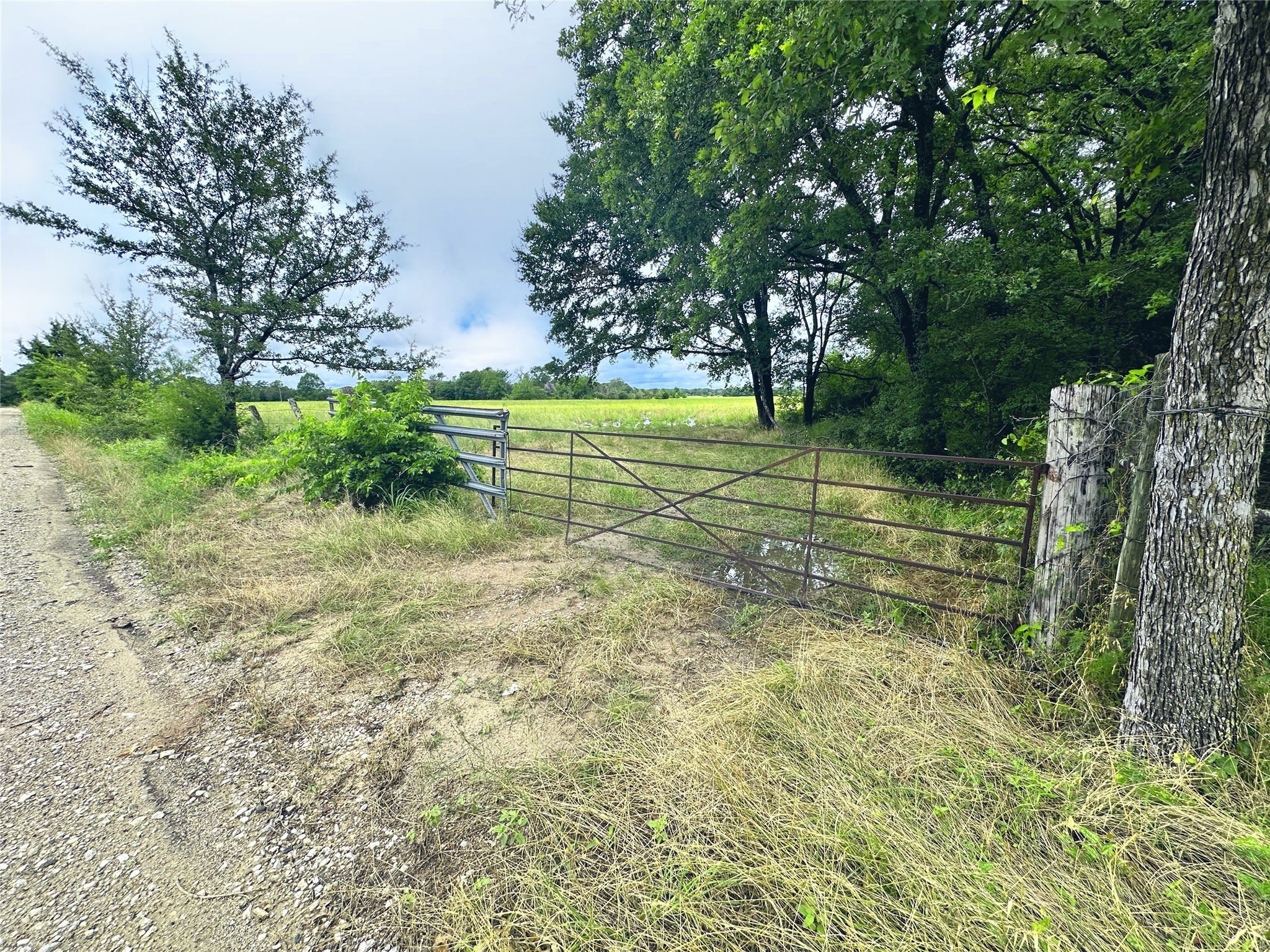 TBD 26.381 Acres SE County Road 4250