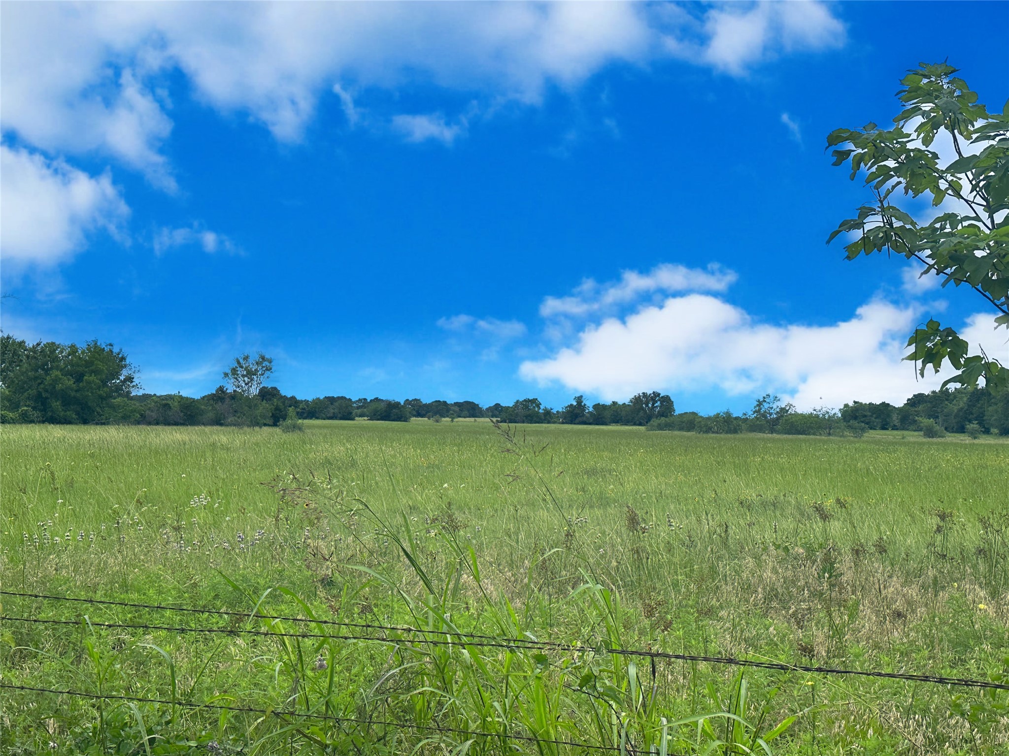 TBD 26.381 Acres SE County Road 4250
