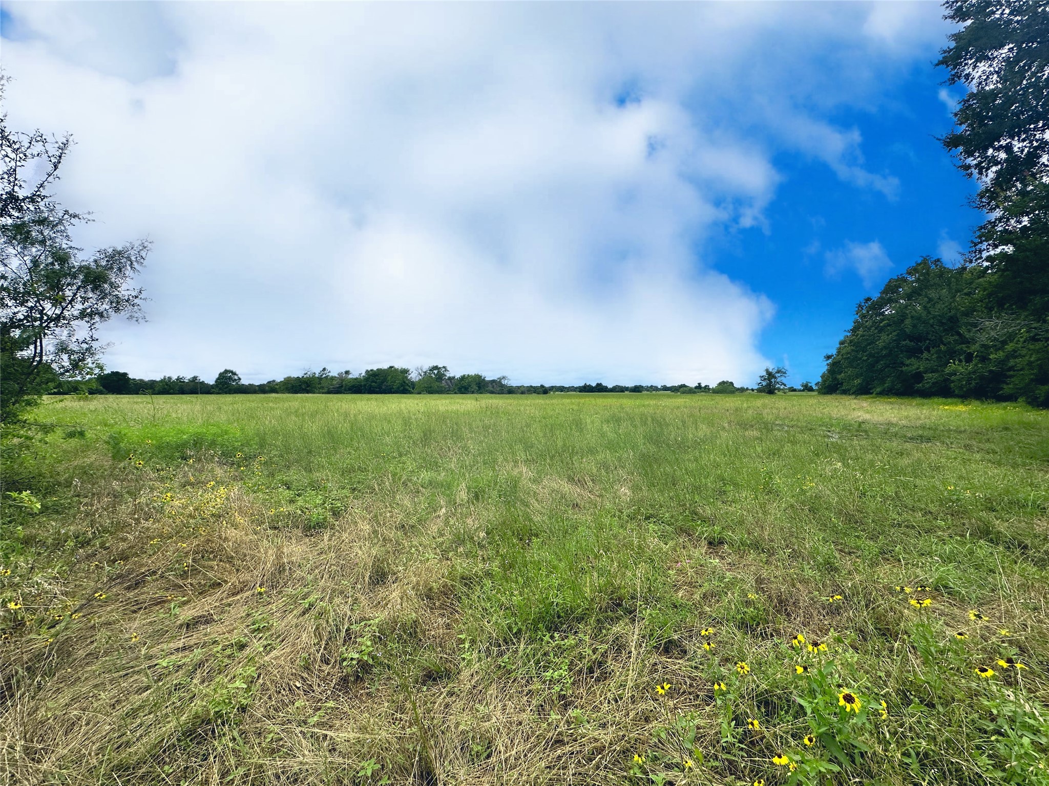 TBD 26.381 Acres SE County Road 4250