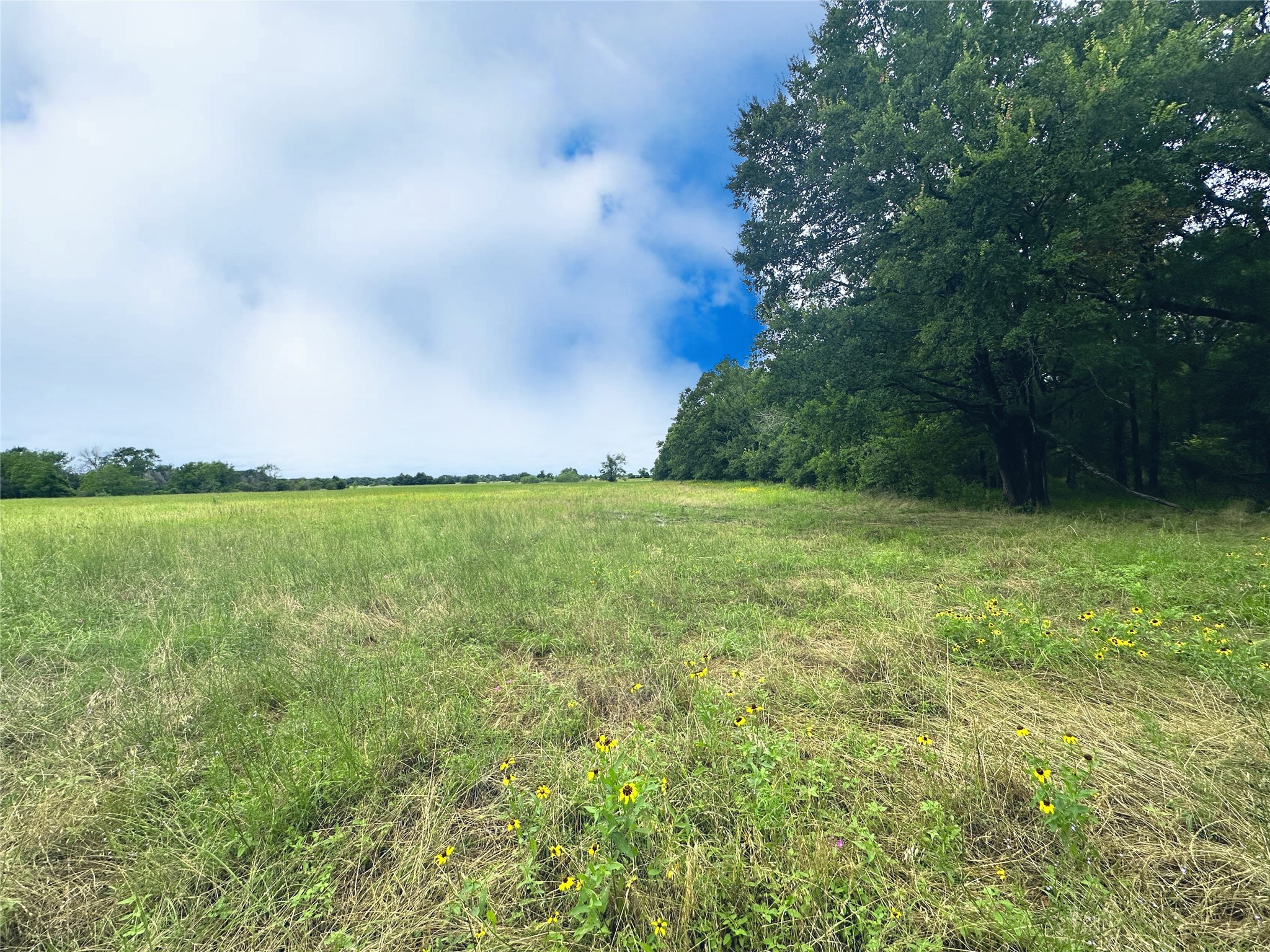 TBD 26.381 Acres SE County Road 4250