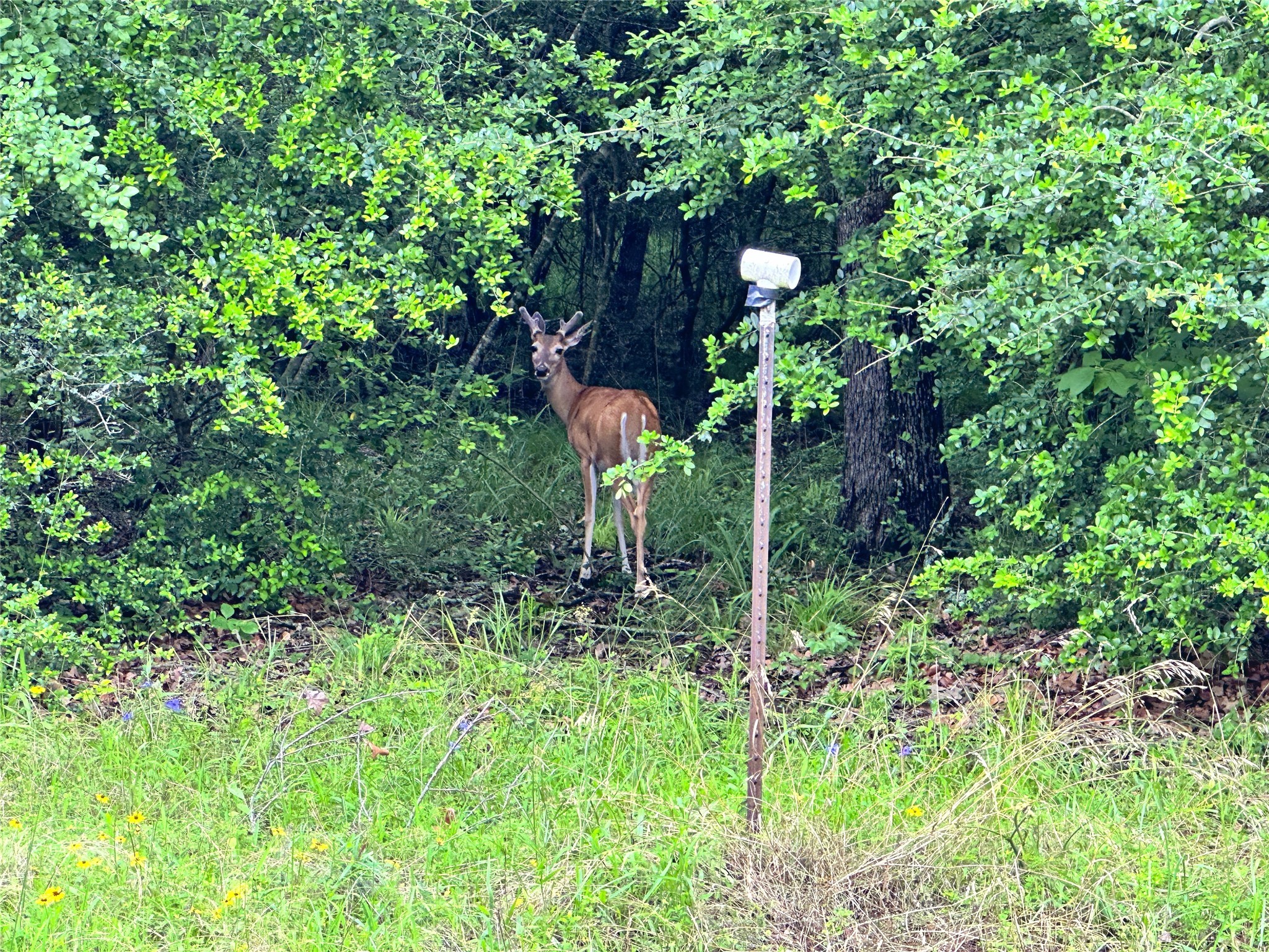 Lot 112 Lincoln Drive