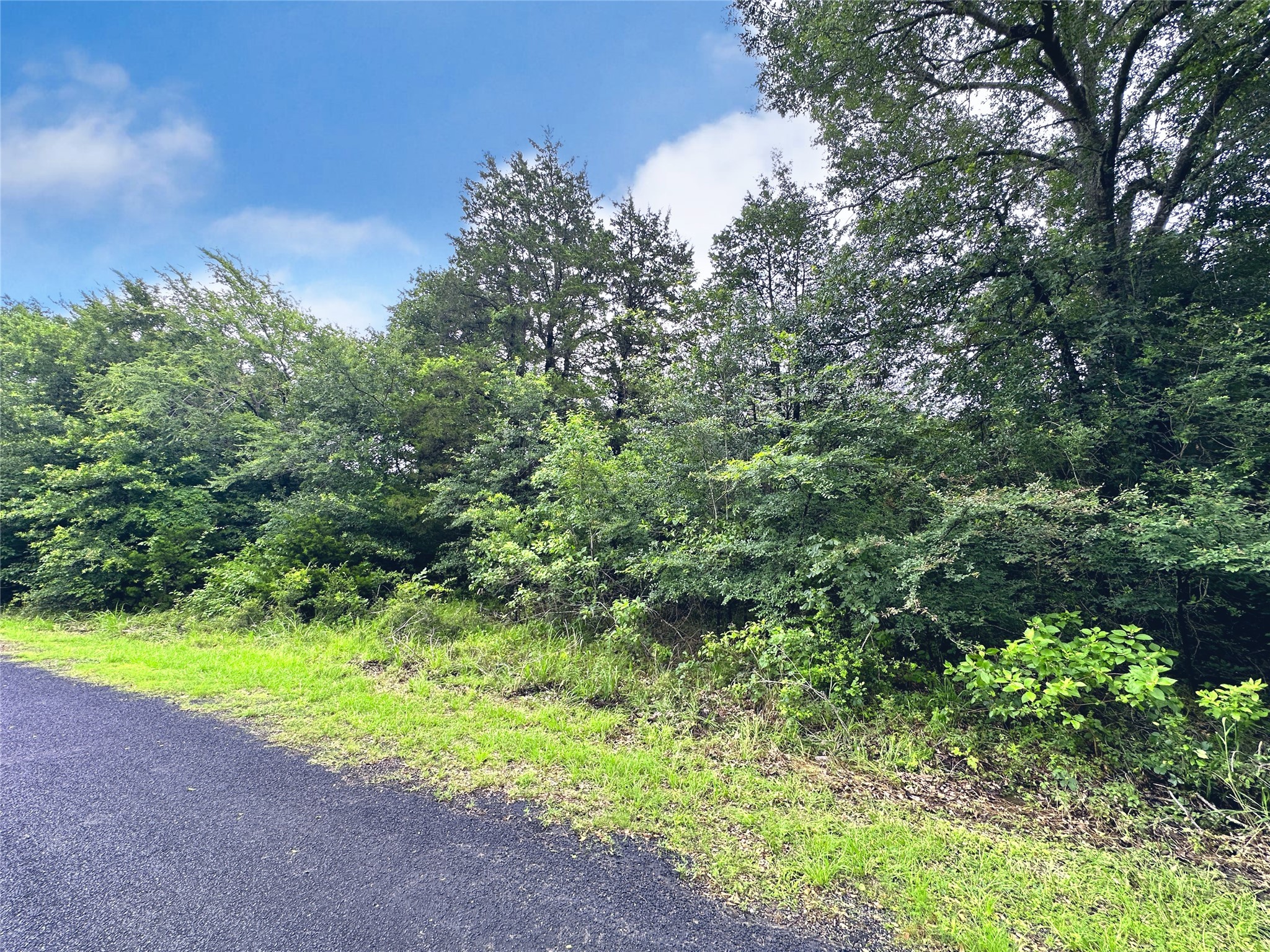 Lot 112 Lincoln Drive