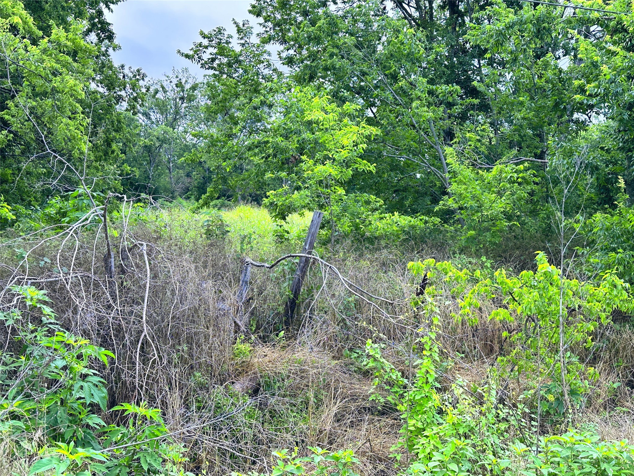 700 S Throckmorton Avenue