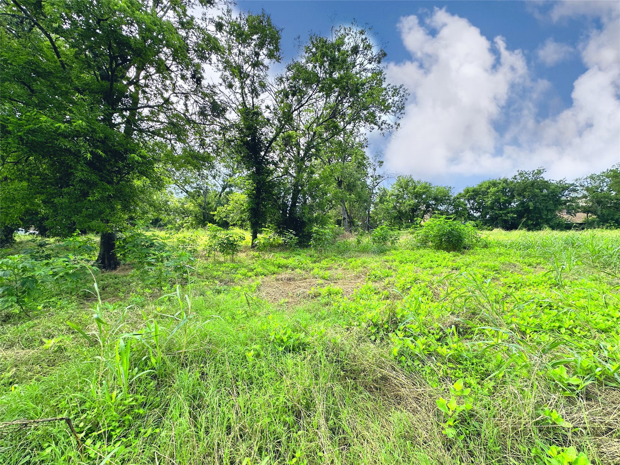 700 S Throckmorton Avenue