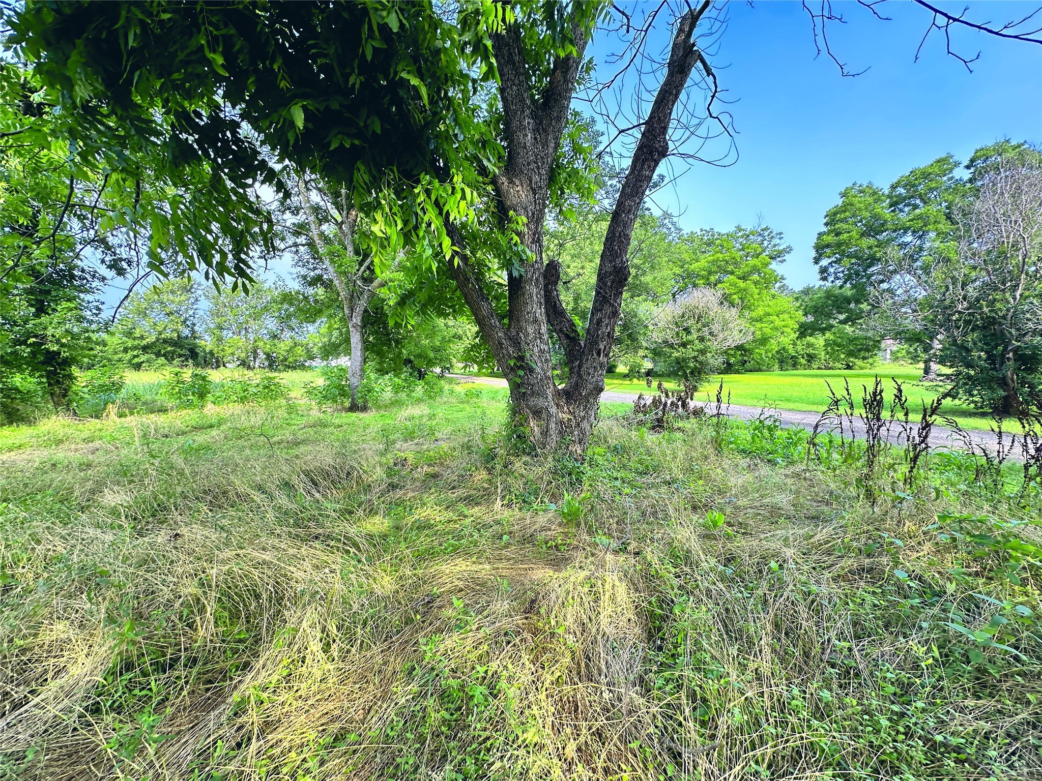 700 S Throckmorton Avenue