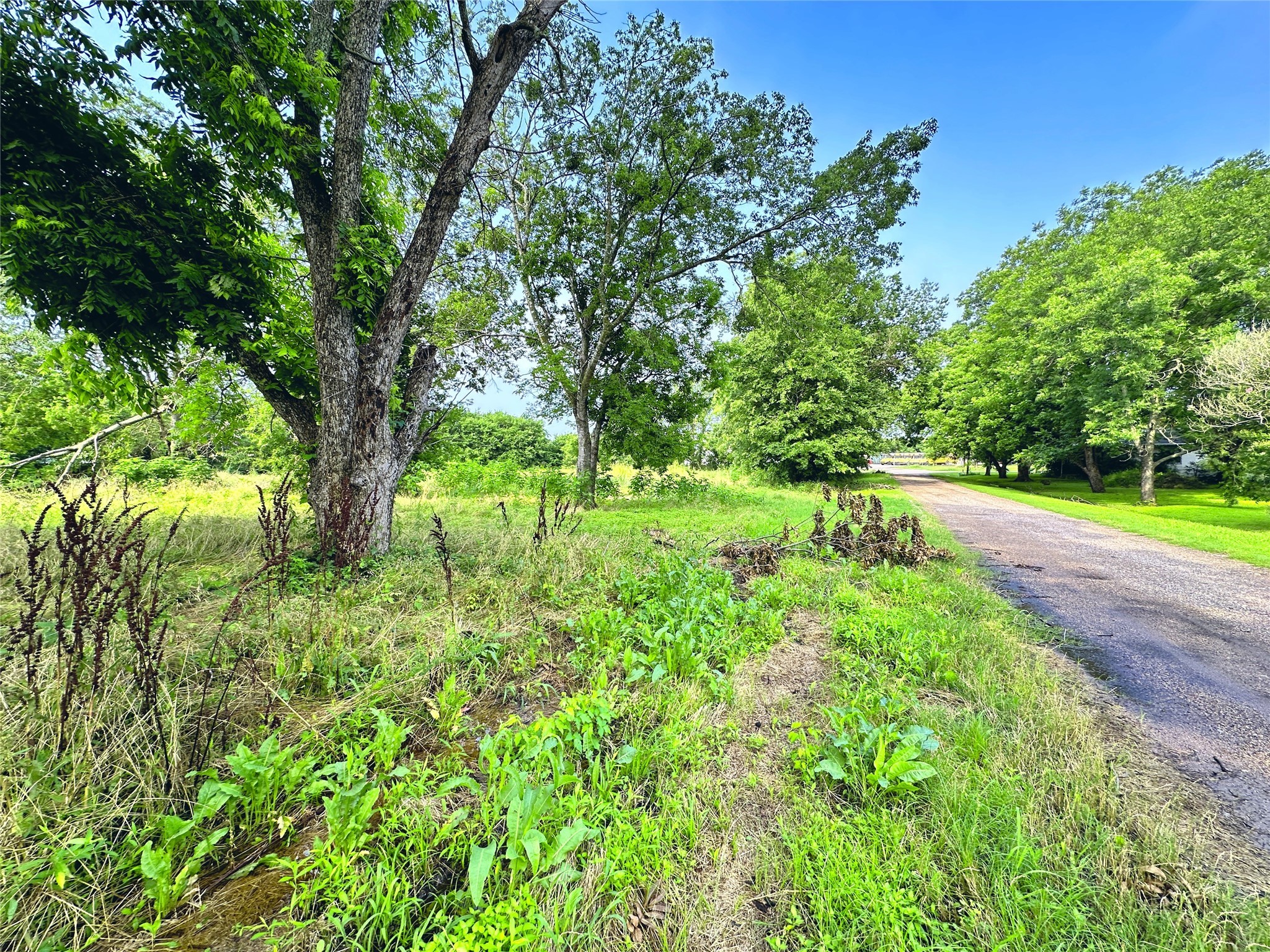 700 S Throckmorton Avenue