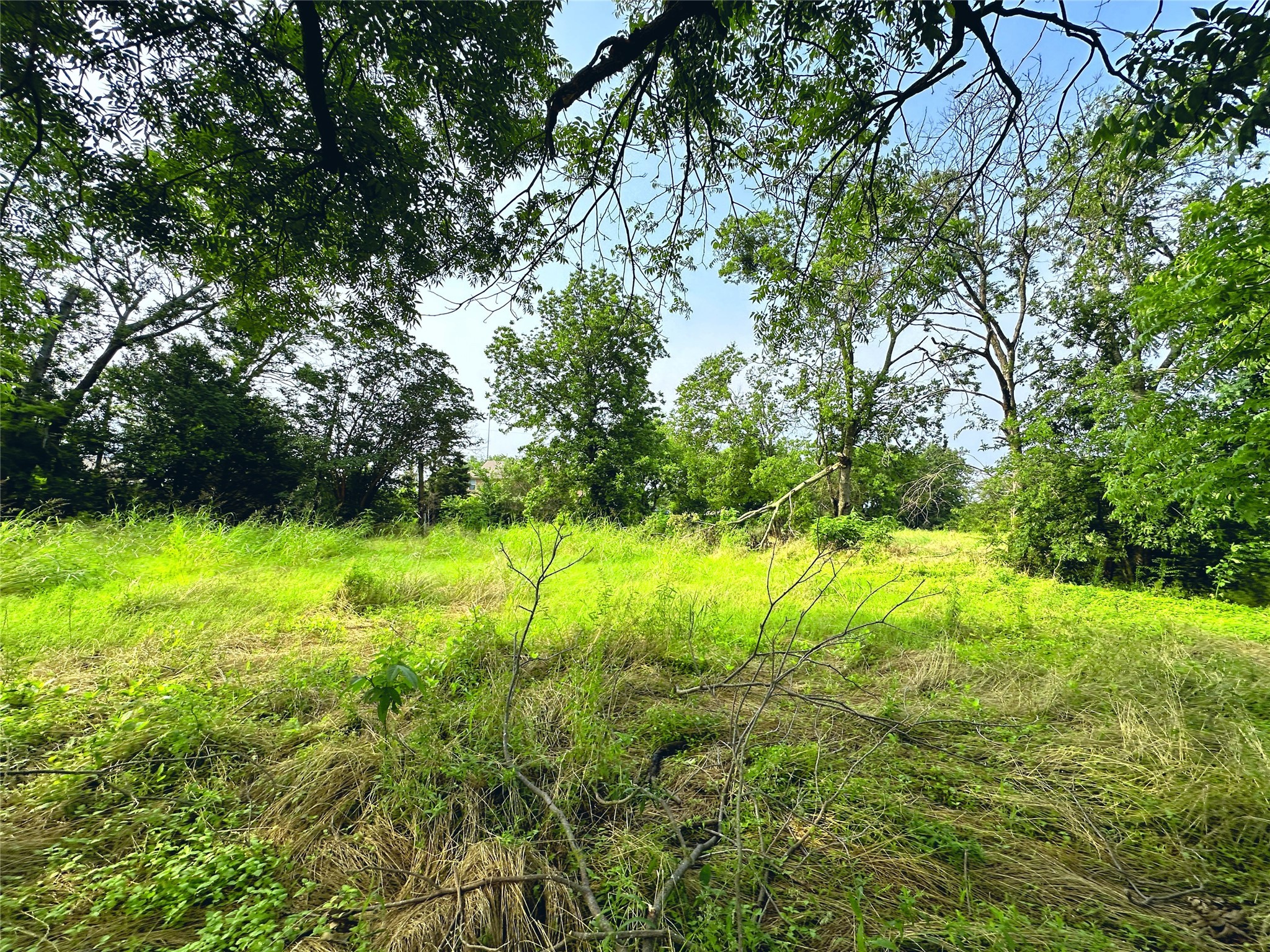 700 S Throckmorton Avenue