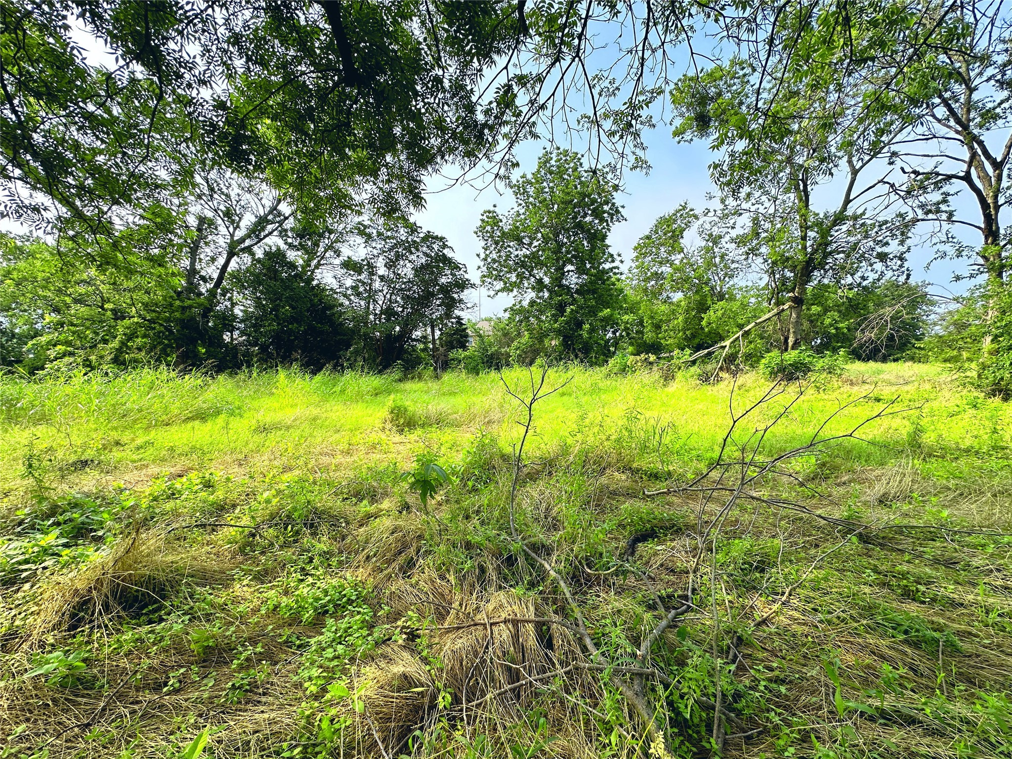 700 S Throckmorton Avenue