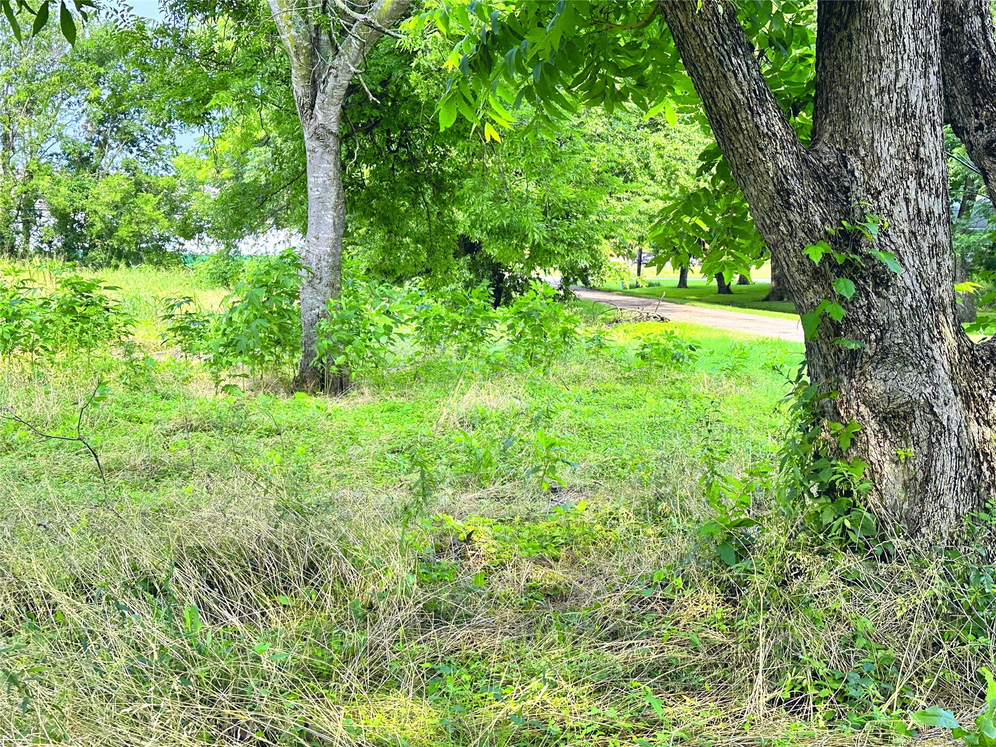 700 S Throckmorton Avenue