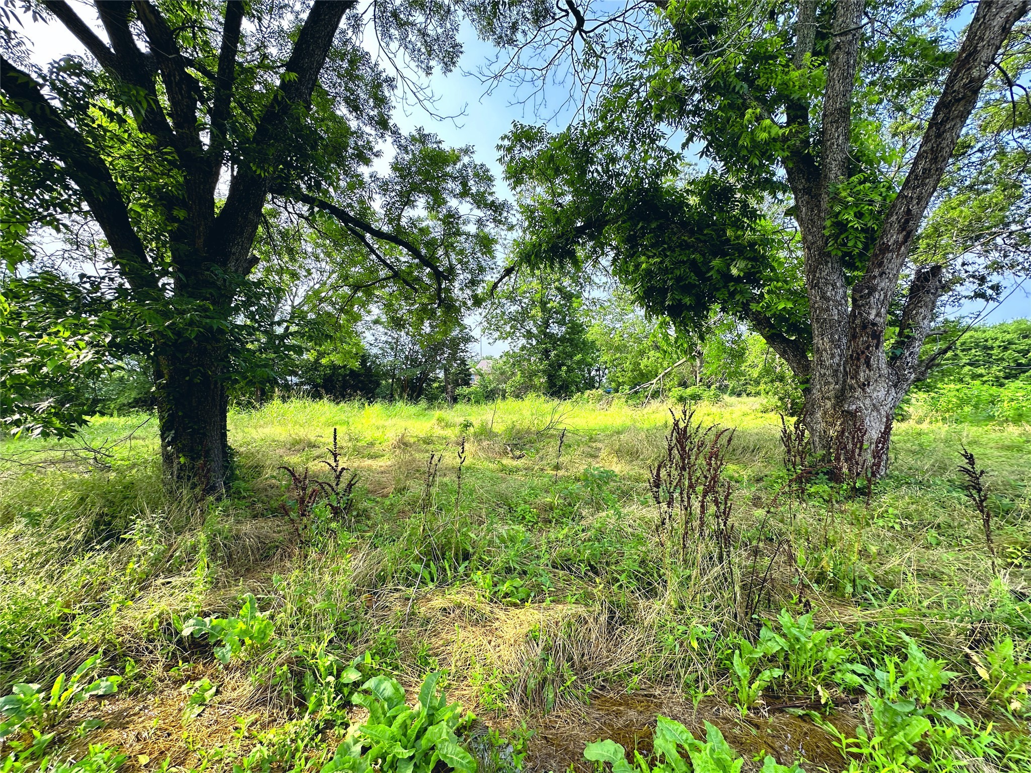 700 S Throckmorton Avenue