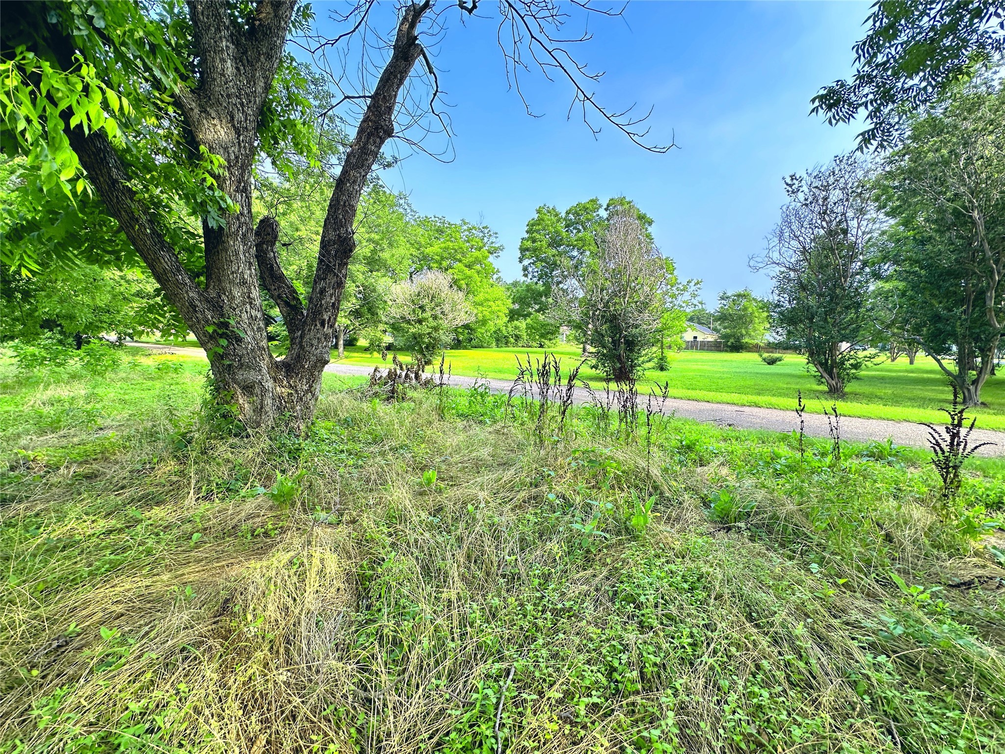 700 S Throckmorton Avenue