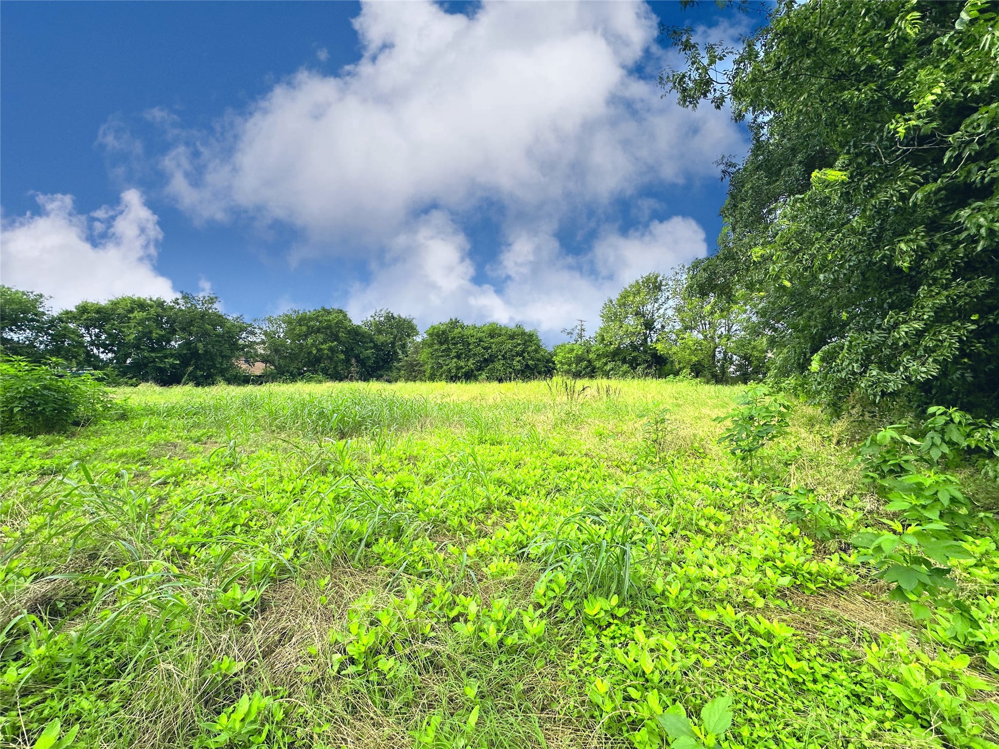 700 S Throckmorton Avenue