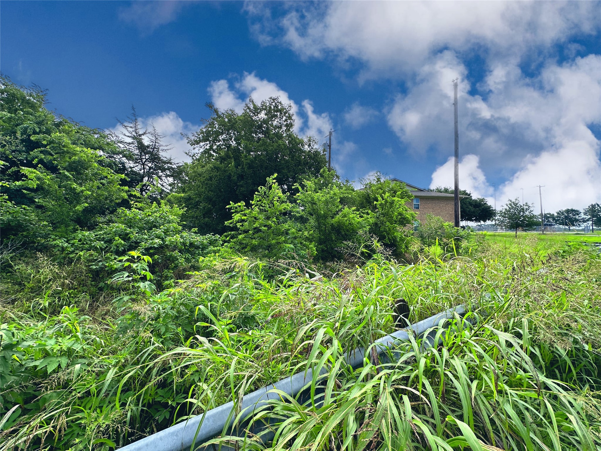 700 S Throckmorton Avenue