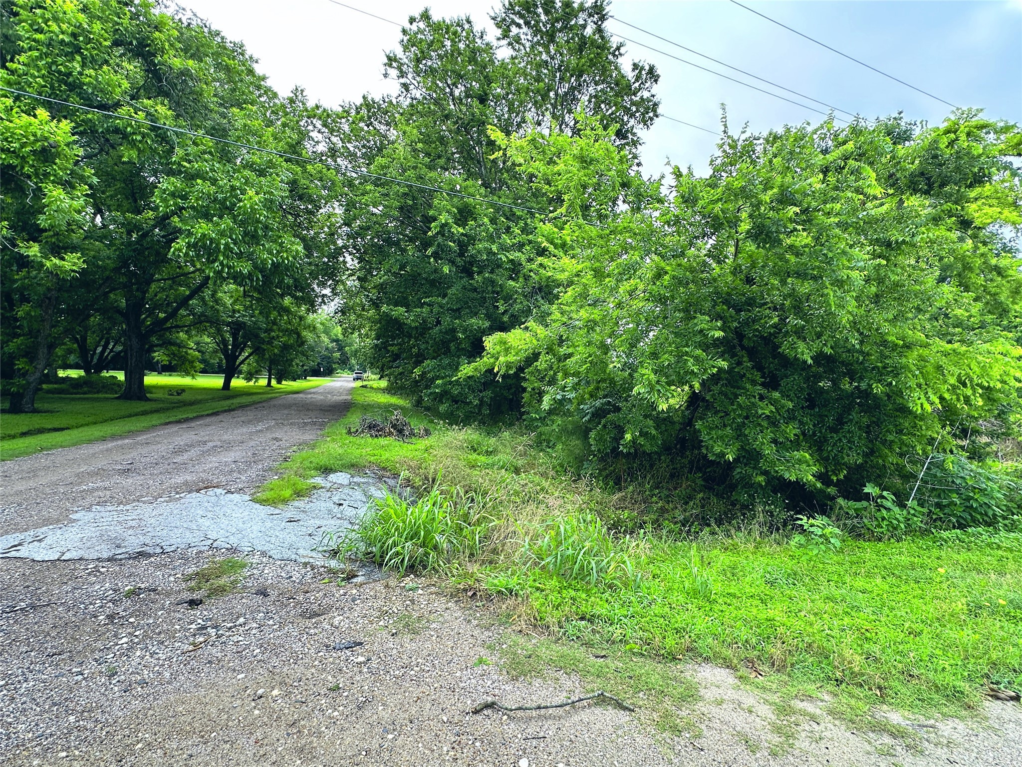 700 S Throckmorton Avenue