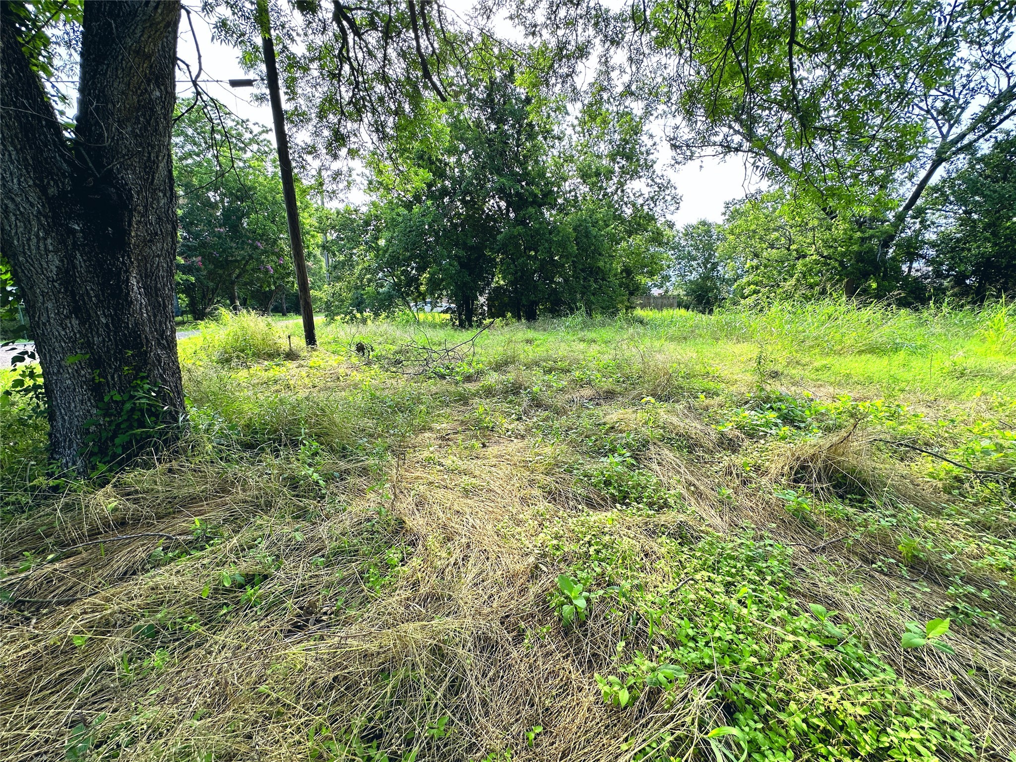 700 S Throckmorton Avenue