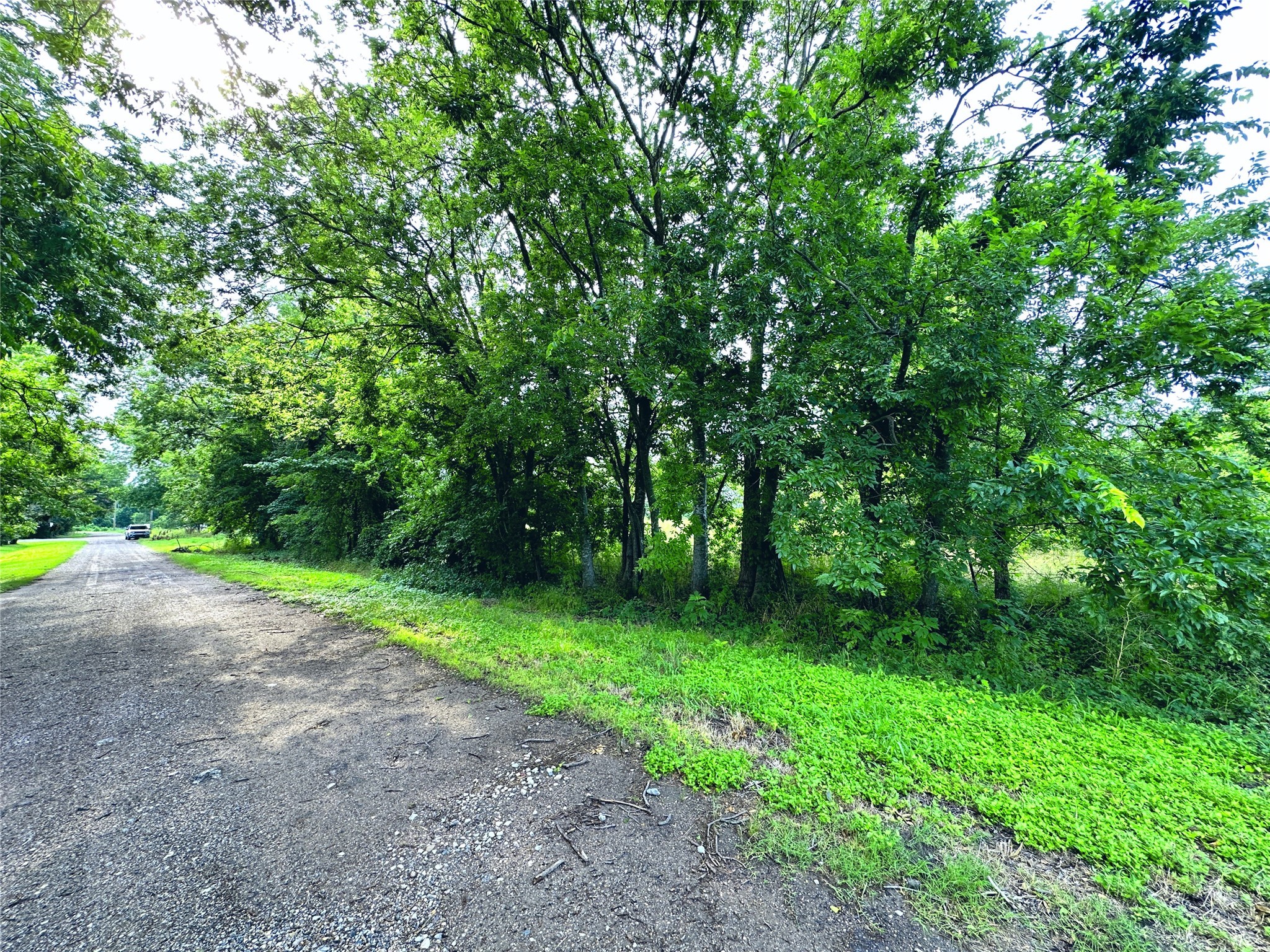 700 S Throckmorton Avenue