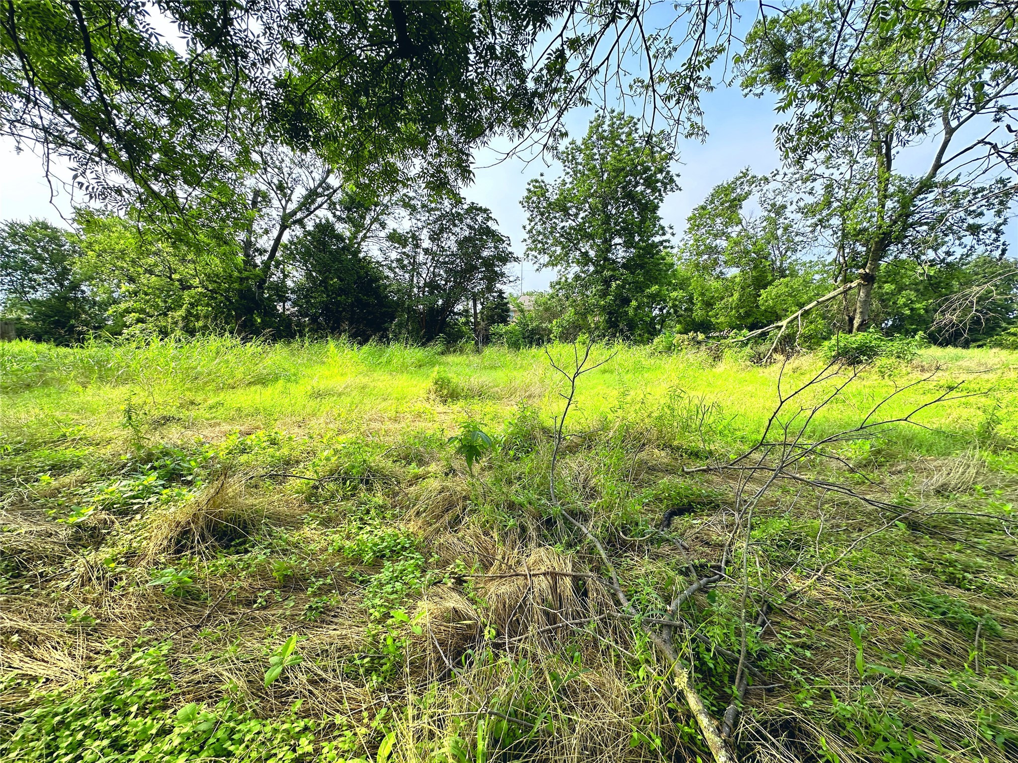 700 S Throckmorton Avenue