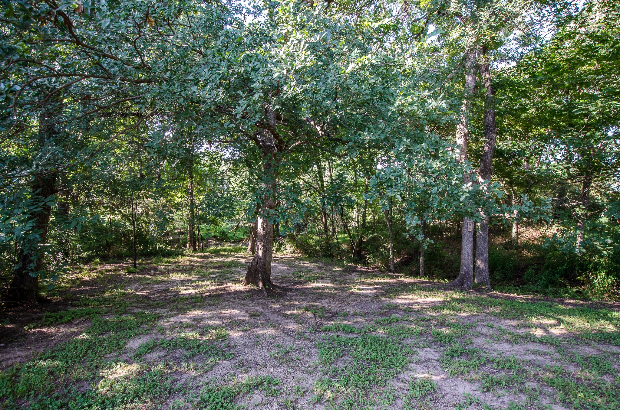 3653 NE County Road 0095