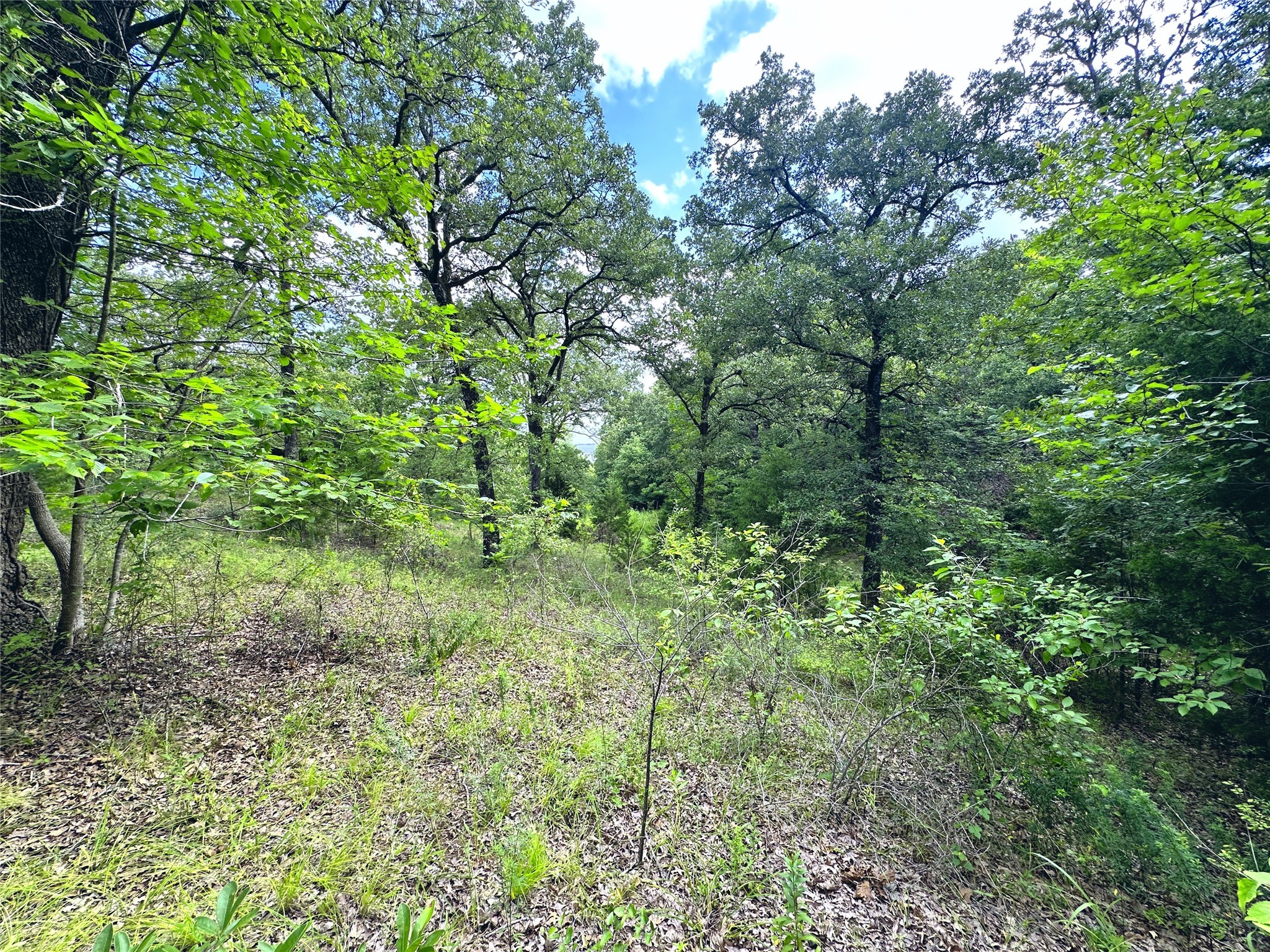 Lot 35 & 36 ABC Pelican Point