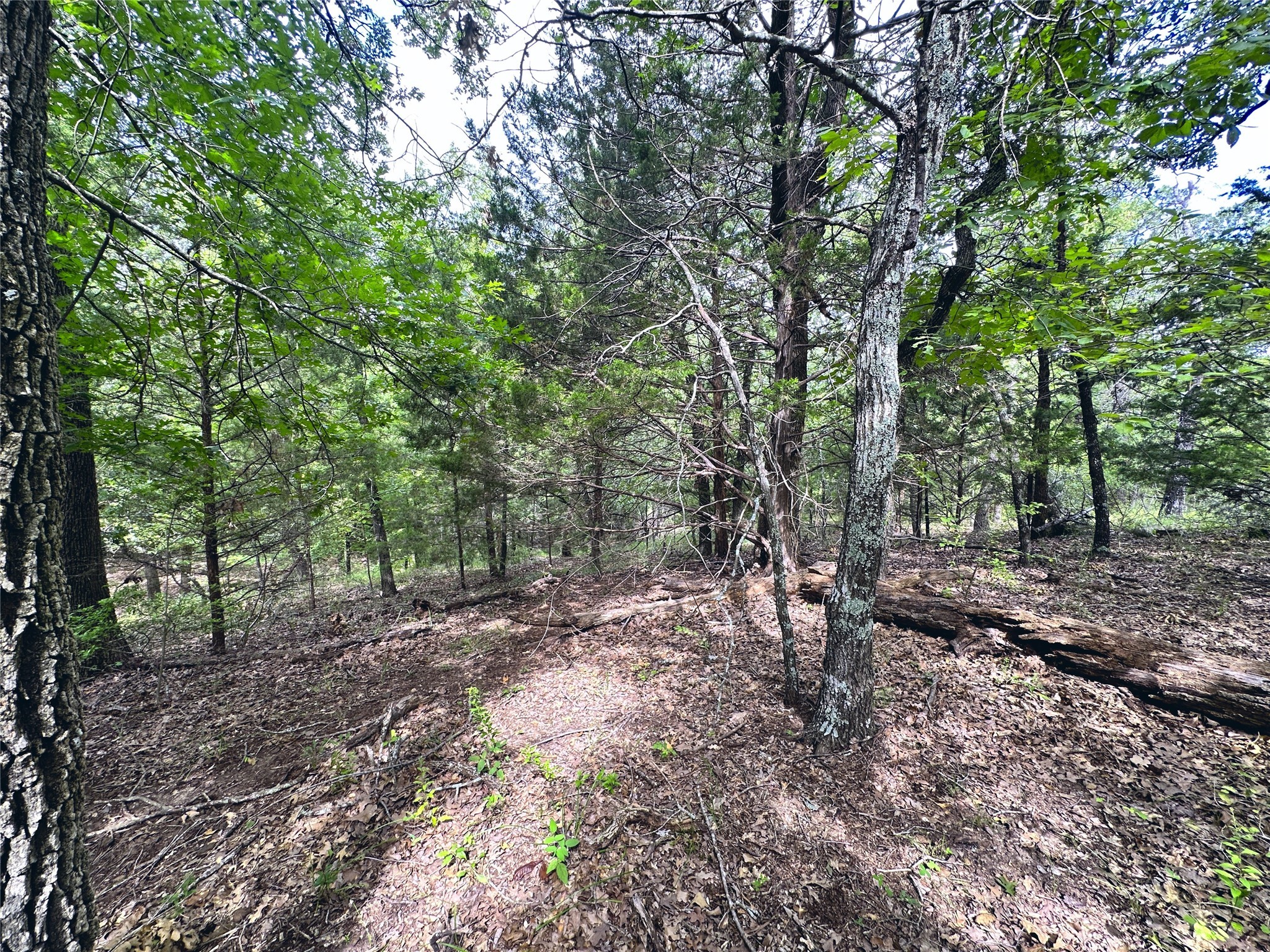Lot 35 & 36 ABC Pelican Point